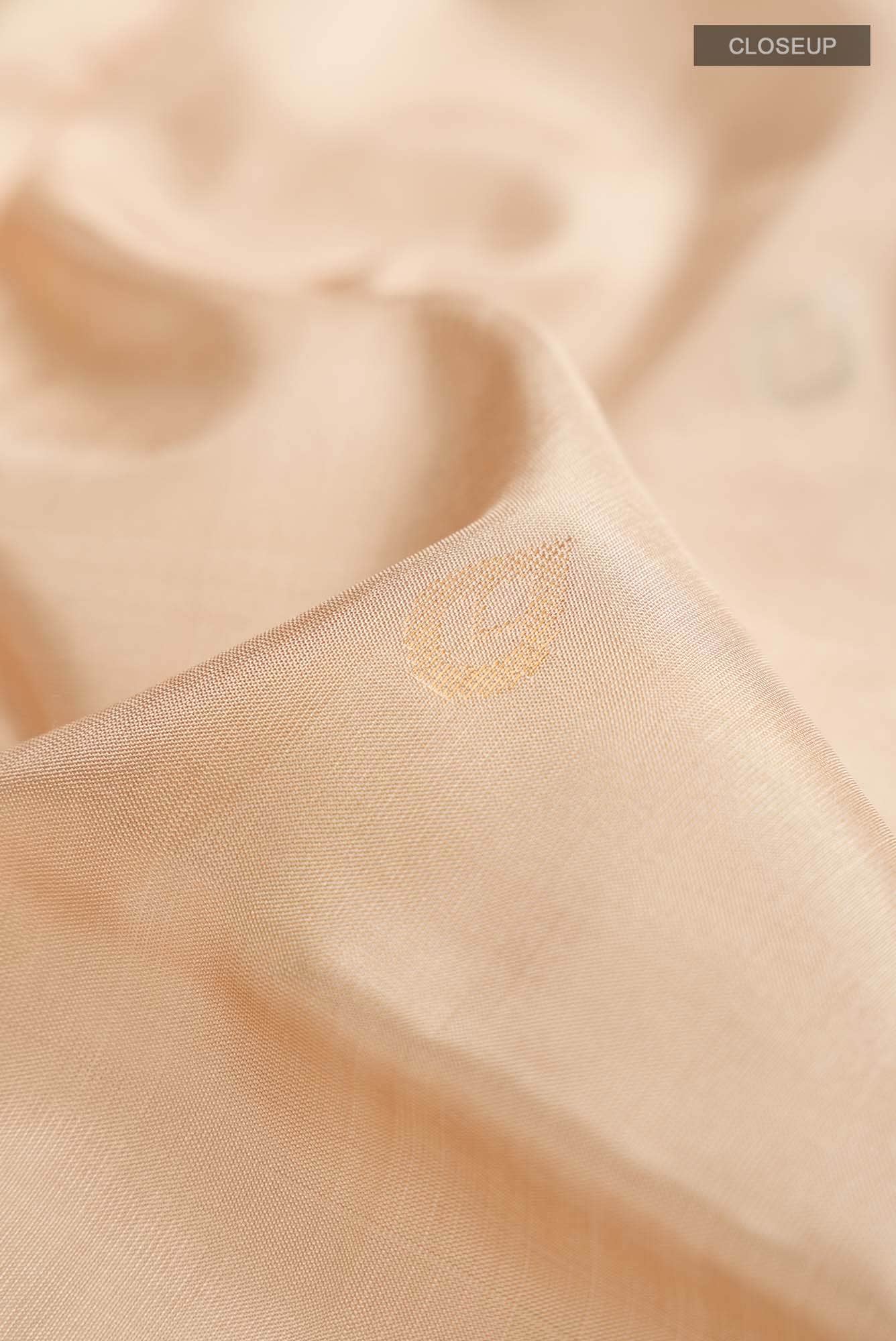 Beige Uppada Silk Saree