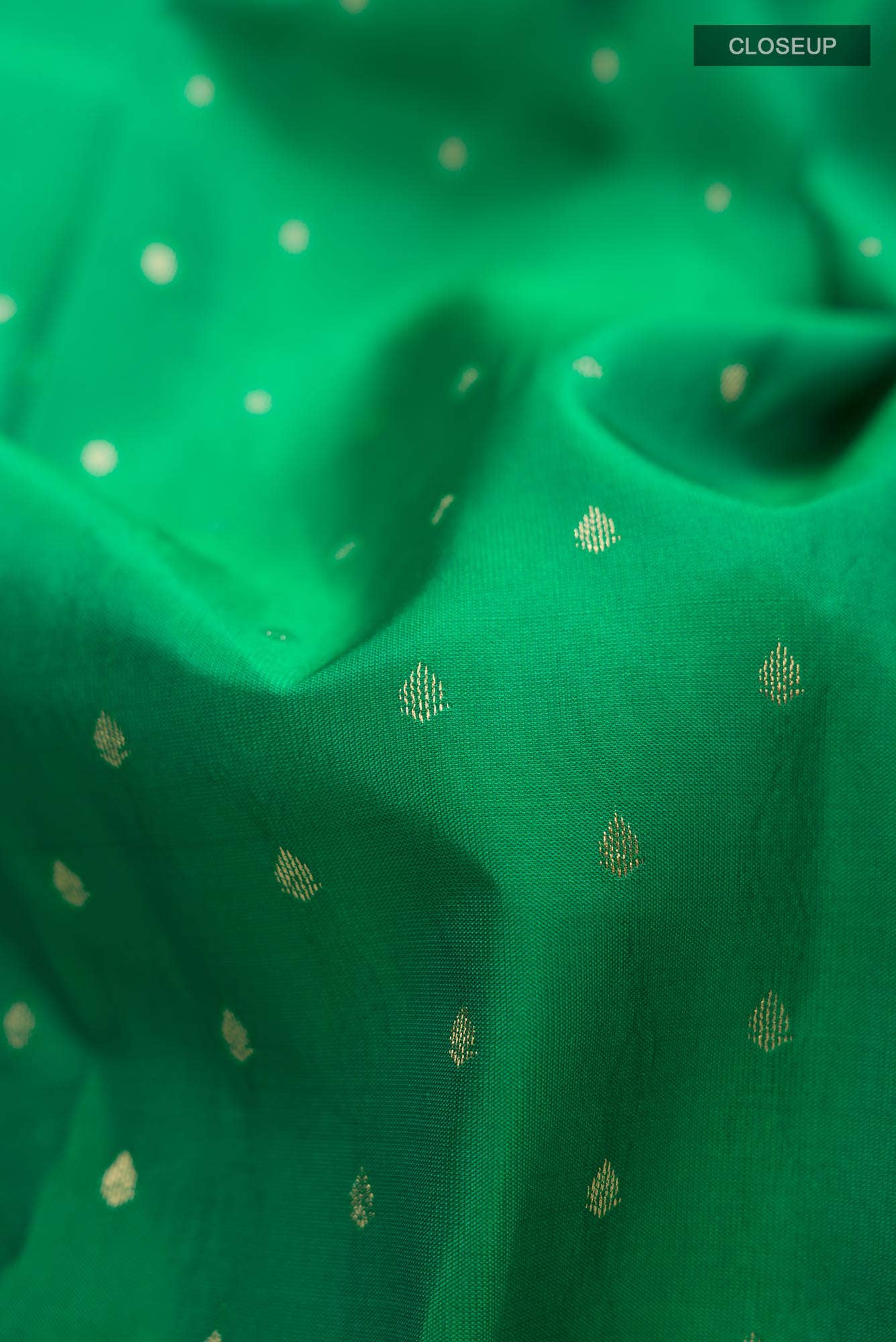 Green Kanchipuram Silk Saree