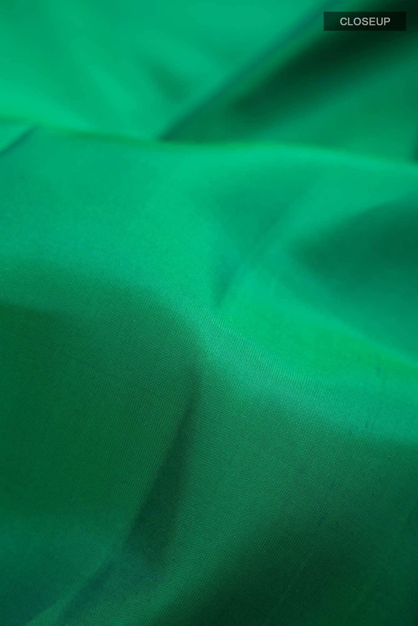 Green Kanchipuram Silk Saree