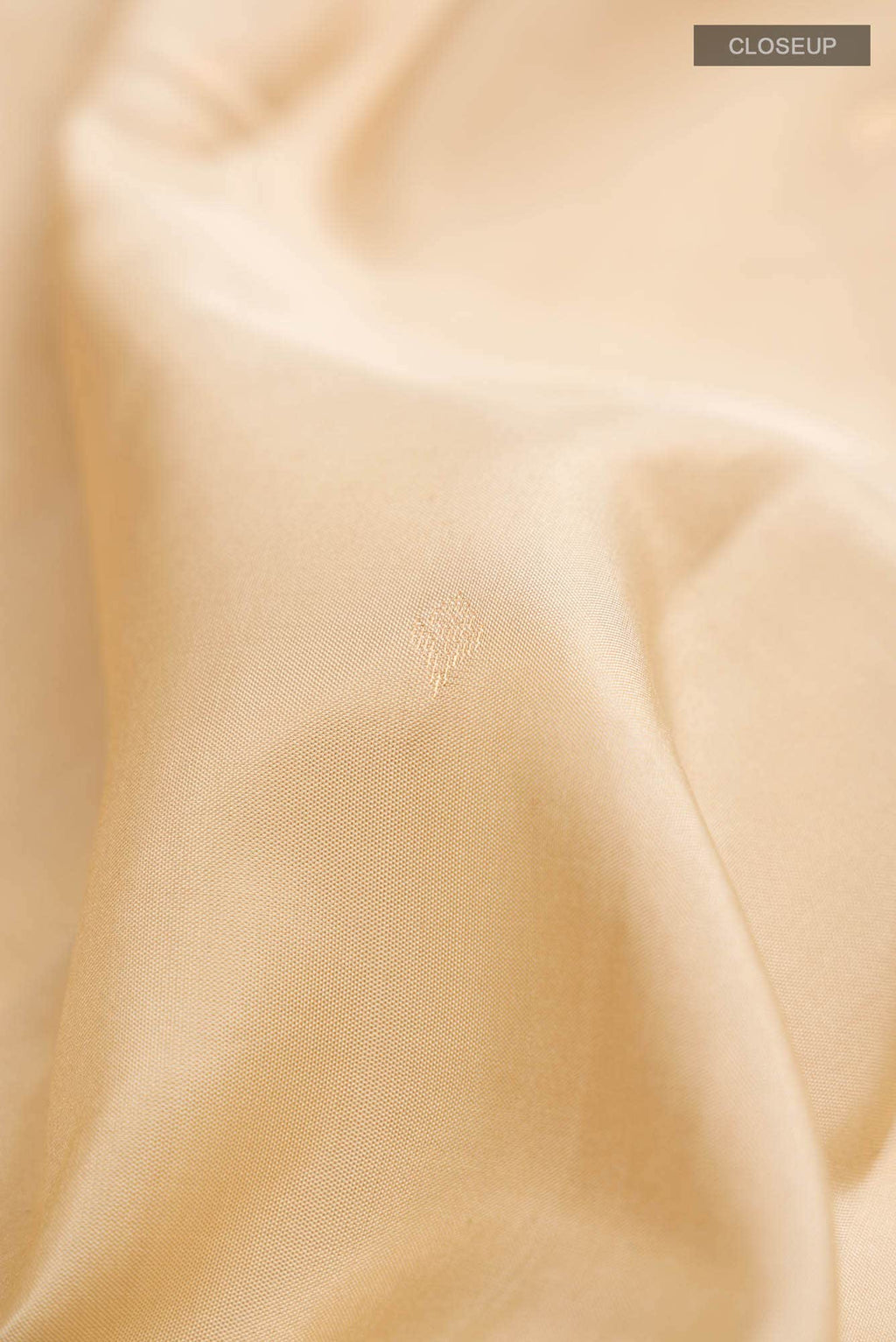 Beige Kanchipuram Silk Saree