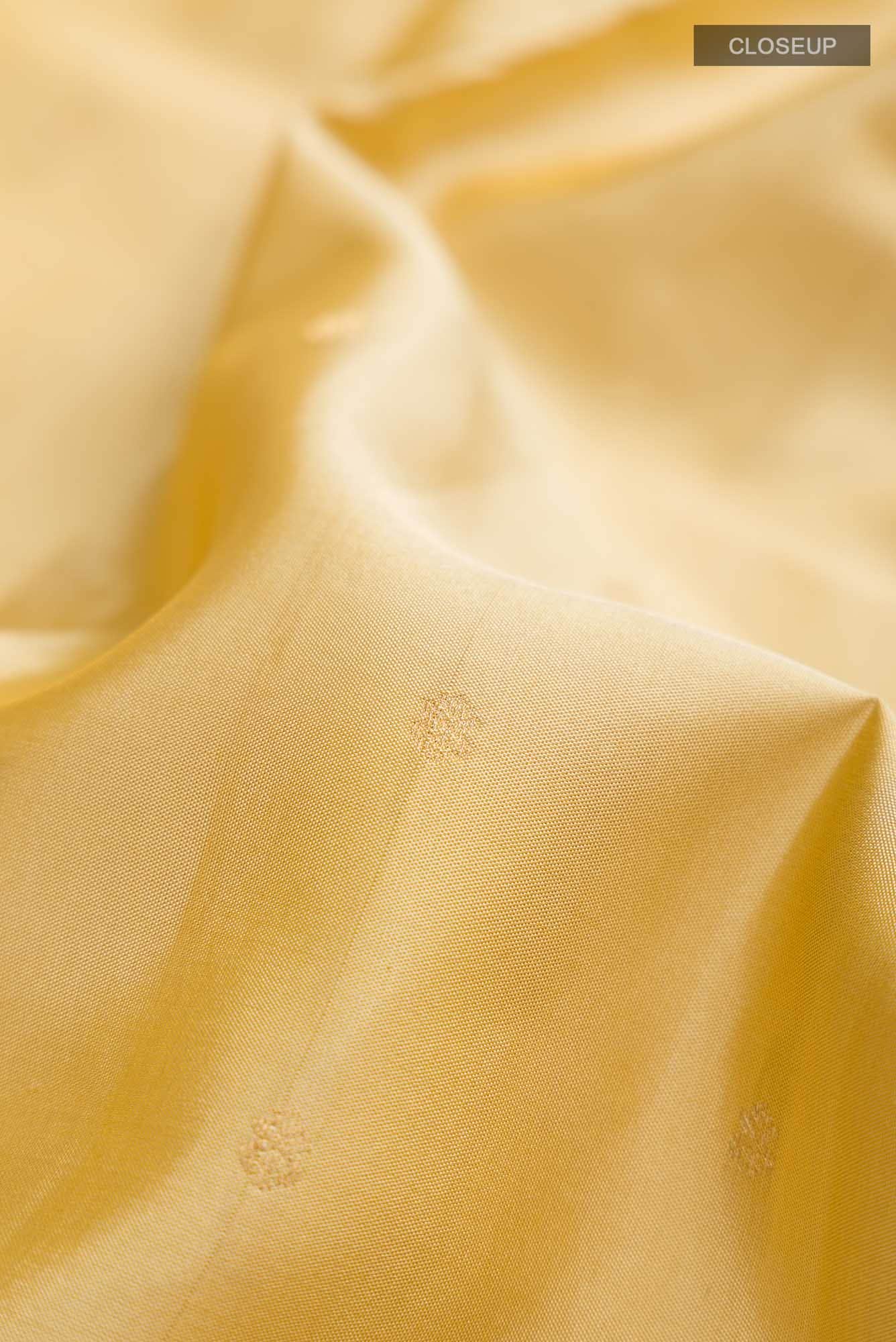 Beige Kanchipuram Silk Saree