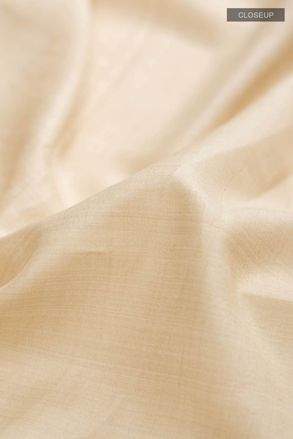 Beige Bhagalpuri Tussar Silk Saree