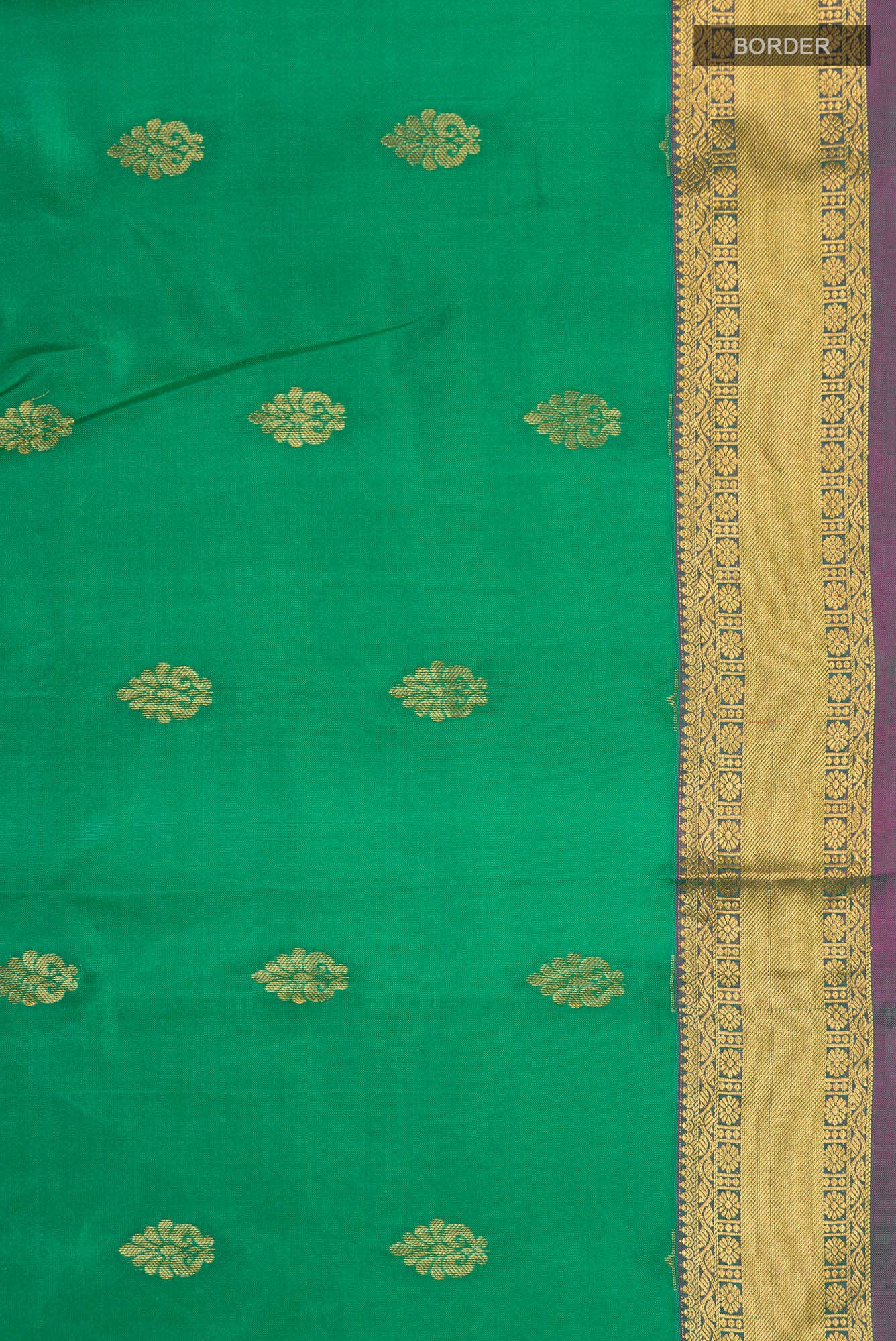 Green Kanchipuram Silk Saree