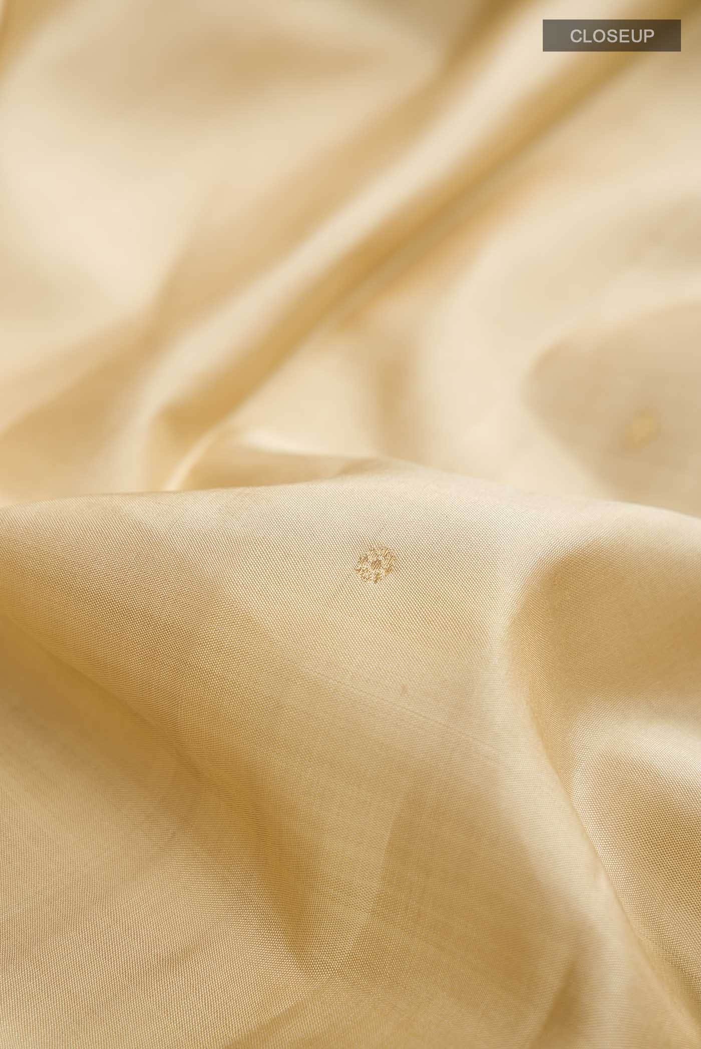 Beige Kanchipuram Silk Saree