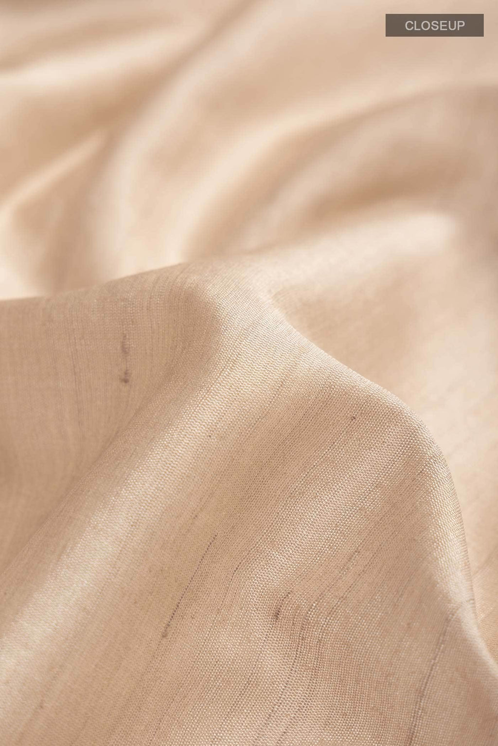 Beige Tussar Silk Saree