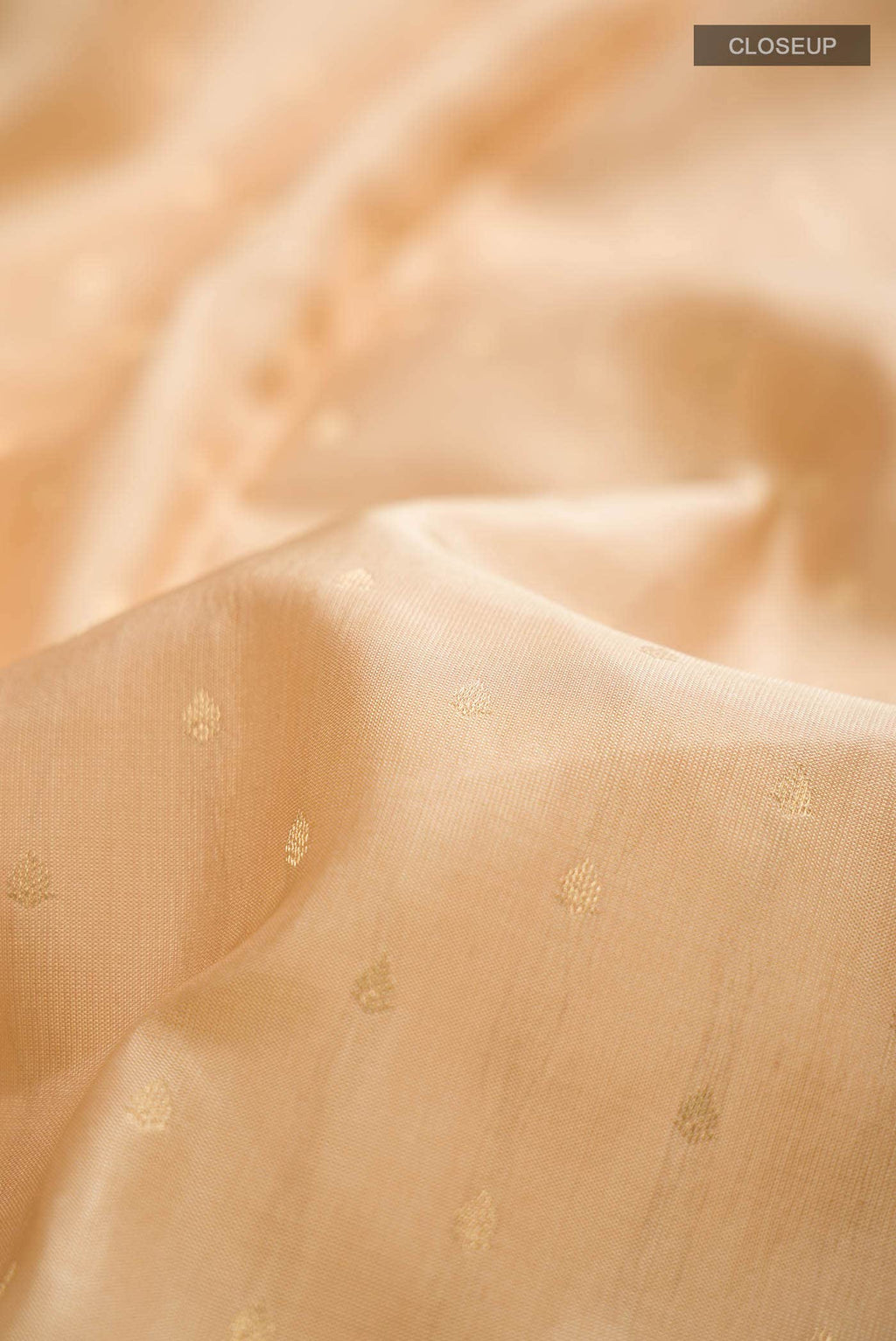 Beige Kanchipuram Silk Saree