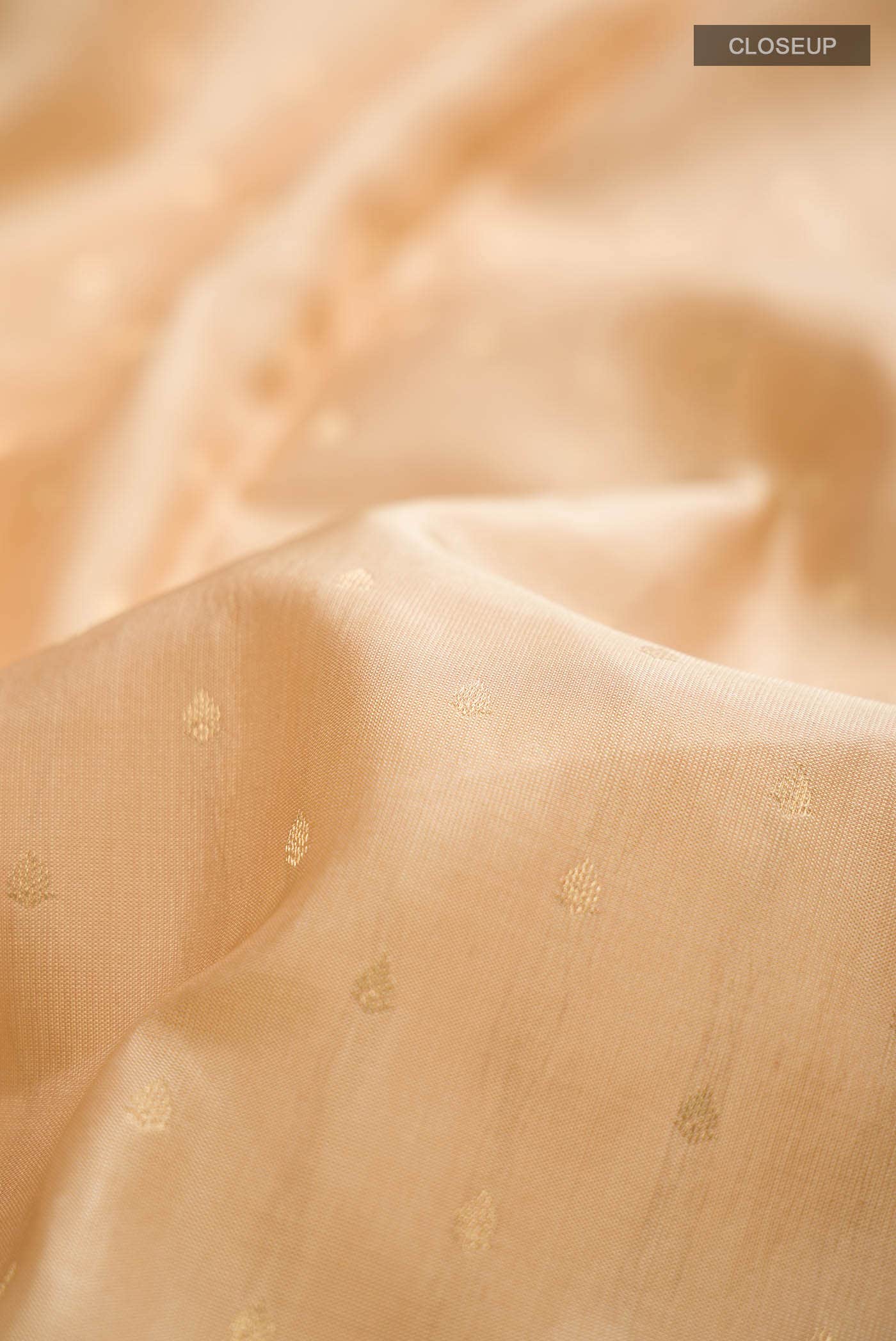 Beige Kanchipuram Silk Saree