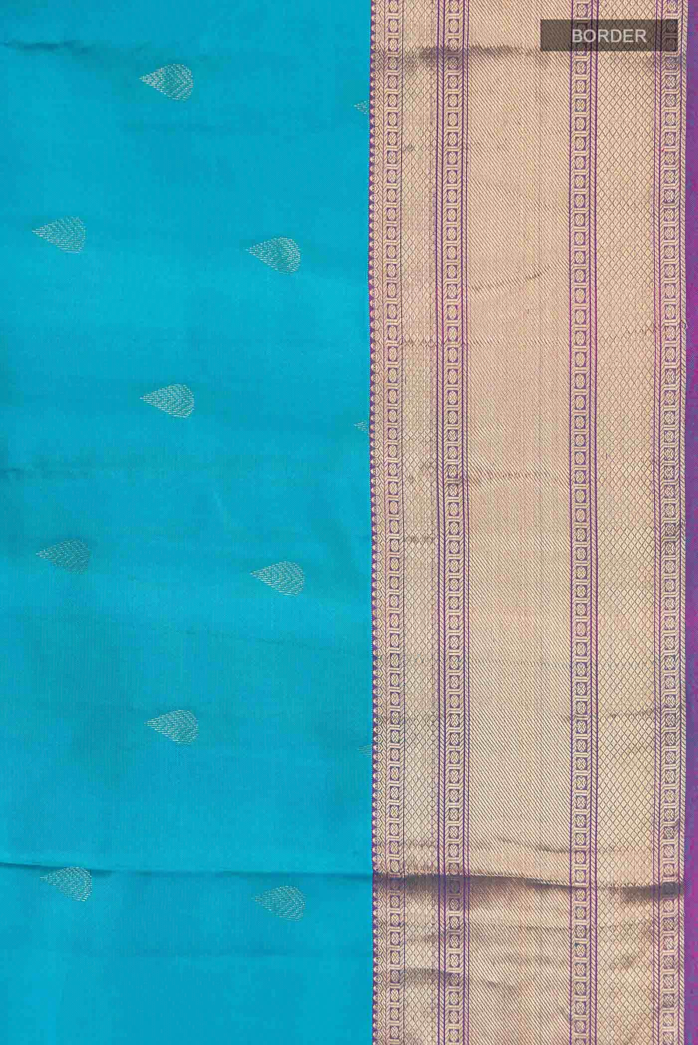 Blue Kanchipuram Silk Saree