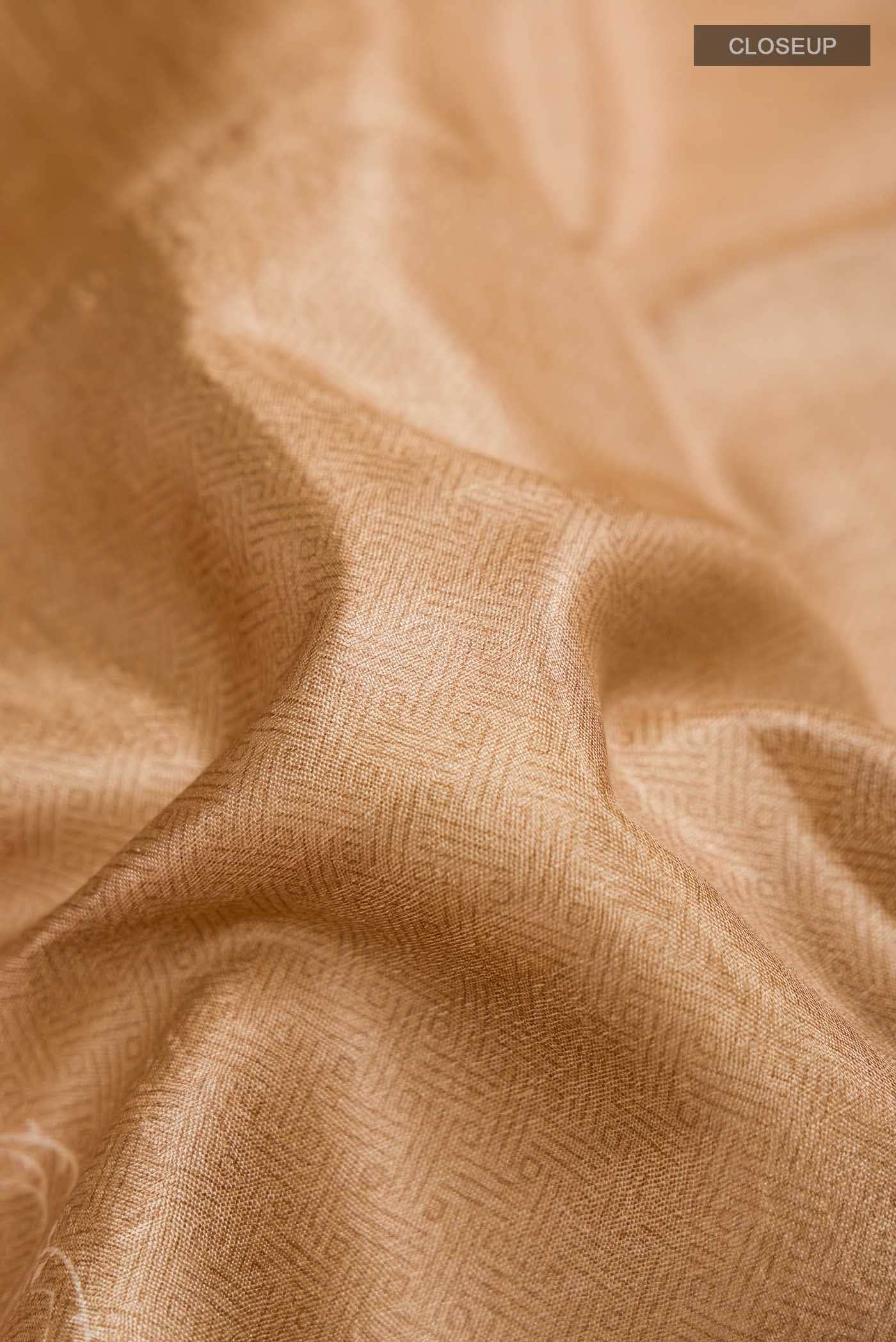 Beige Tussar Silk Saree