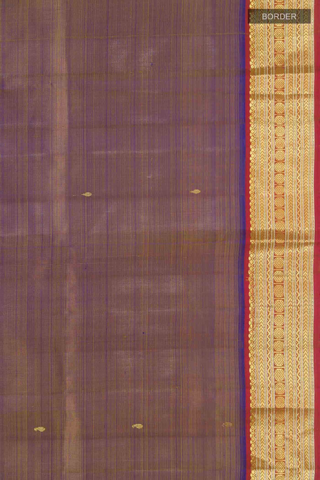 Blue Kanchipuram Silk Saree