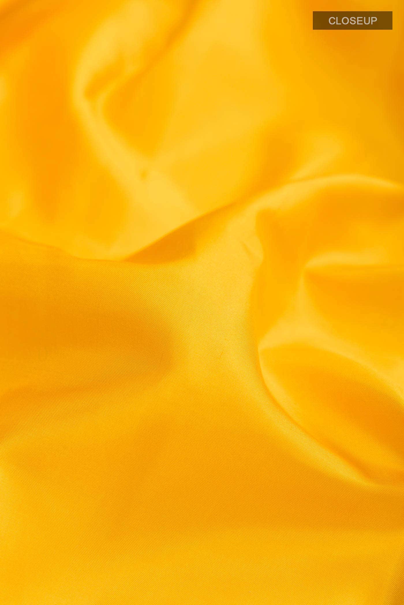 Yellow Kanchipuram Silk Saree