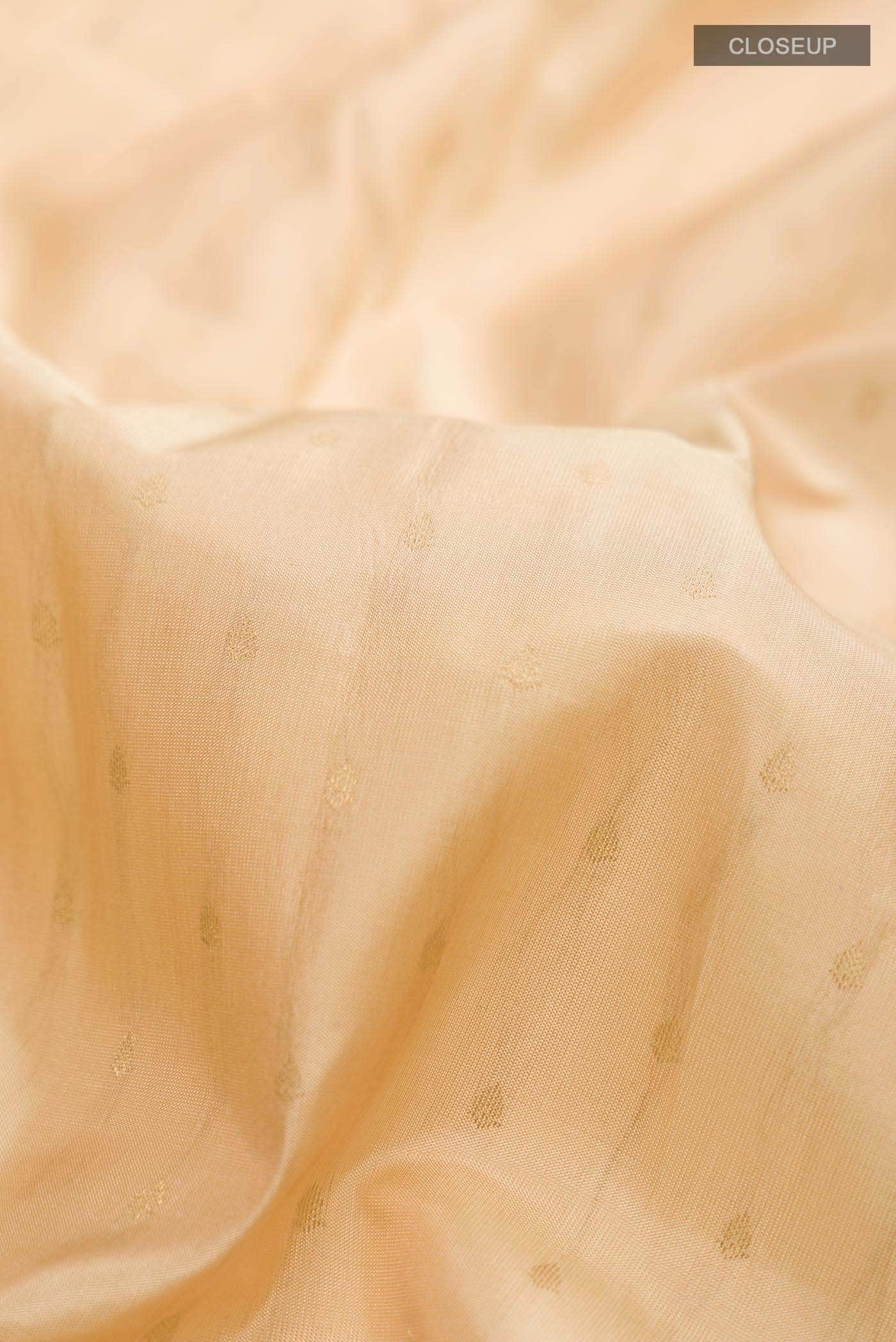 Beige Kanchipuram Silk Saree