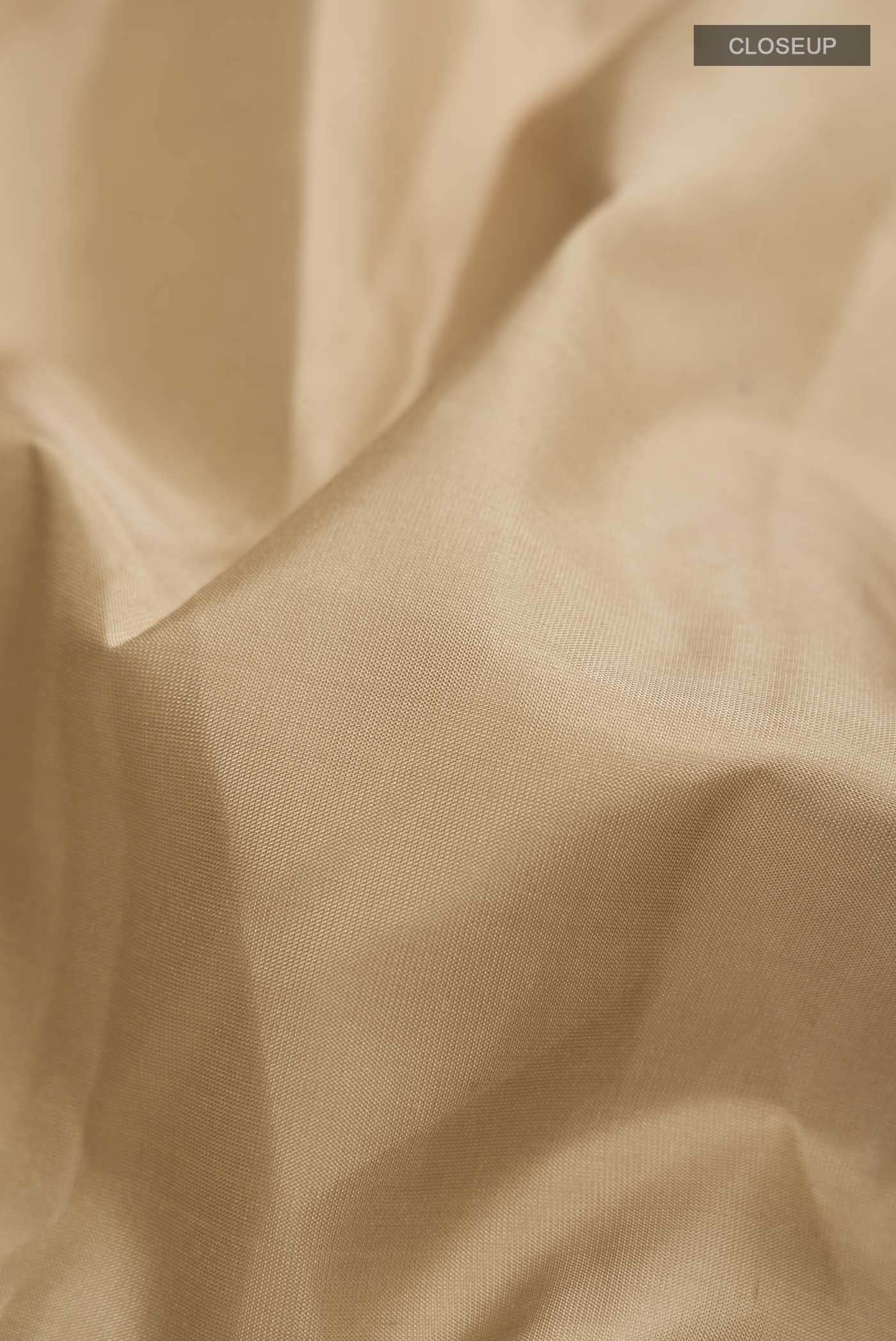 Brown Kanchipuram Silk Saree