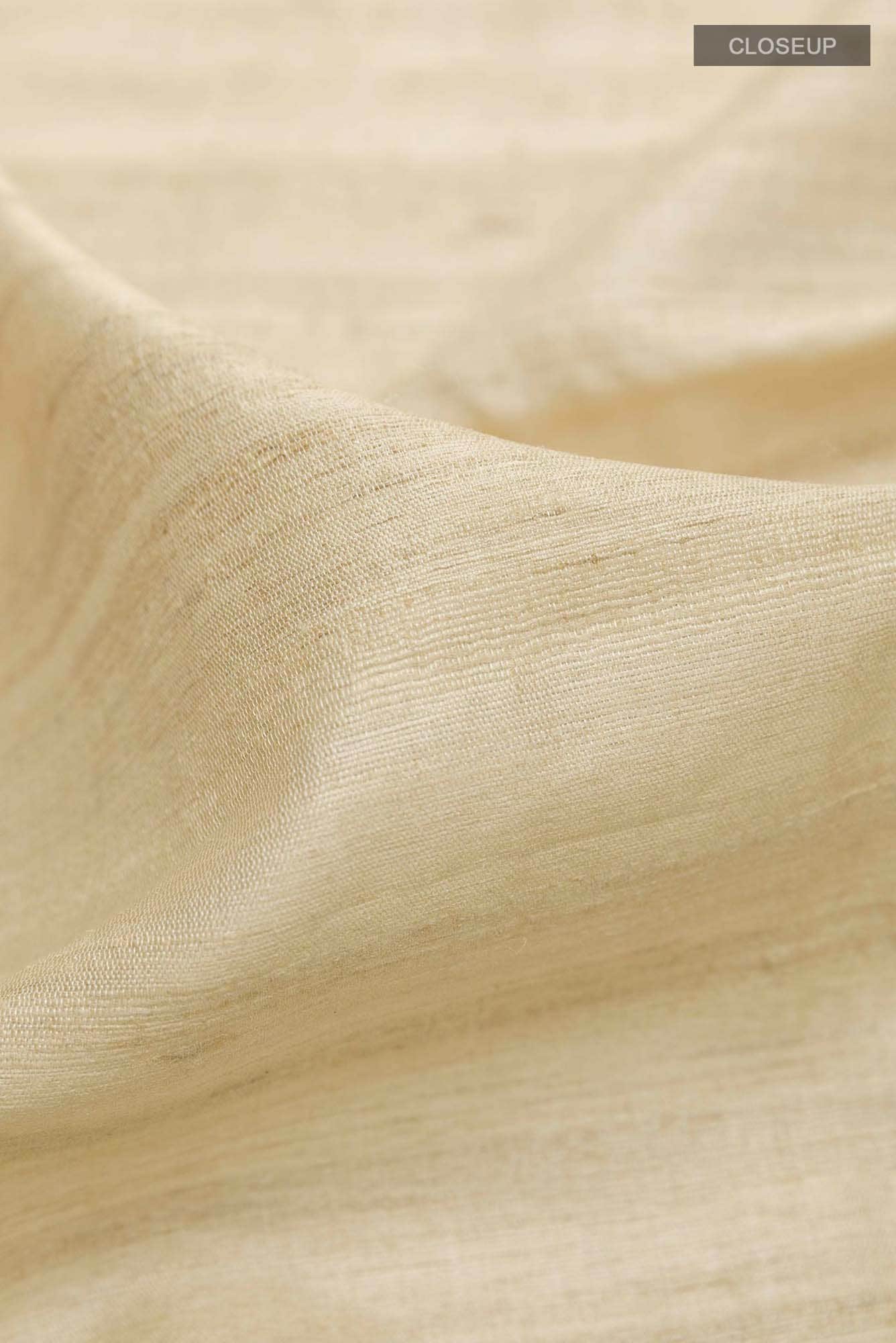 Beige Tussar Saree