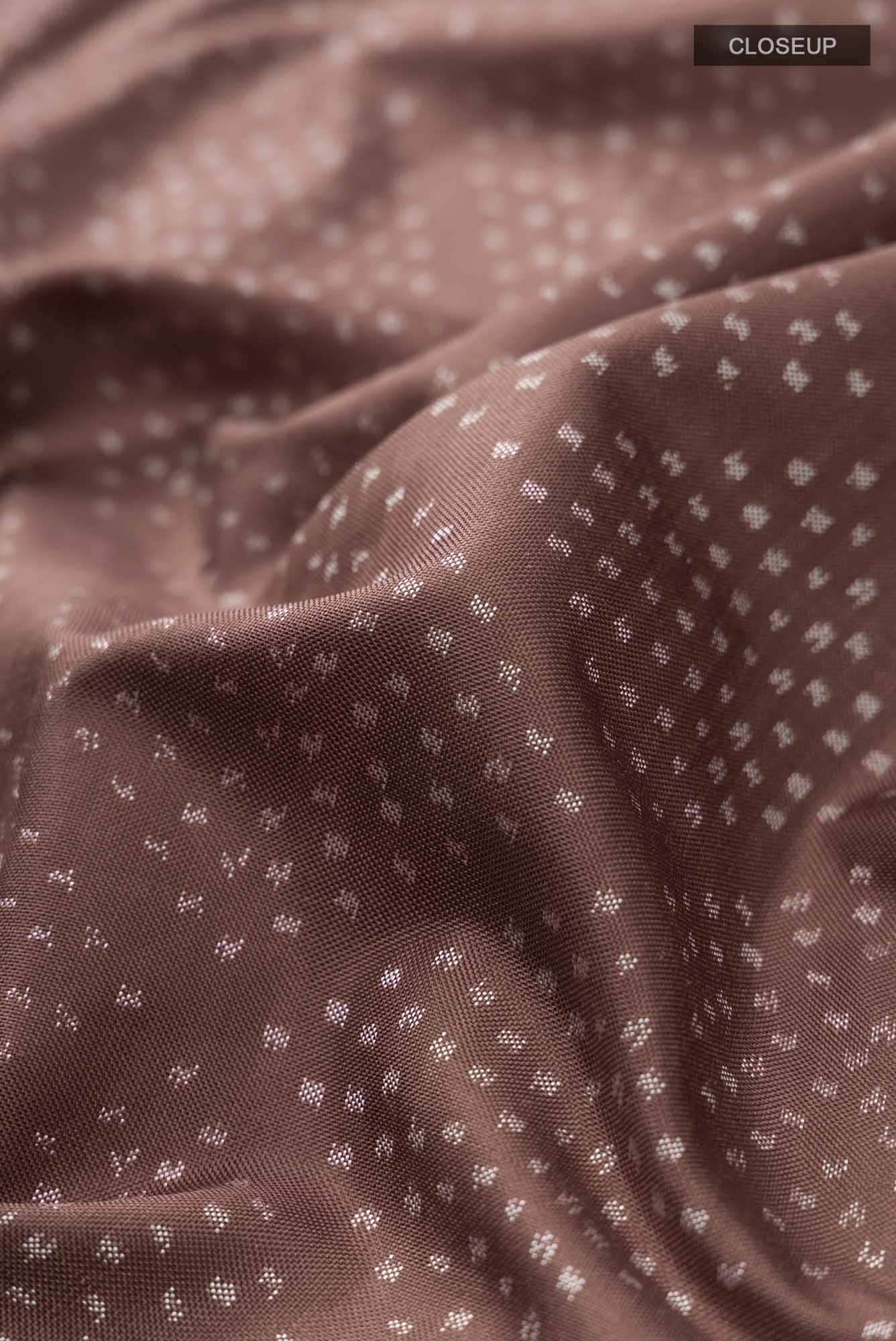 Brown Rajkot Patola Silk Saree