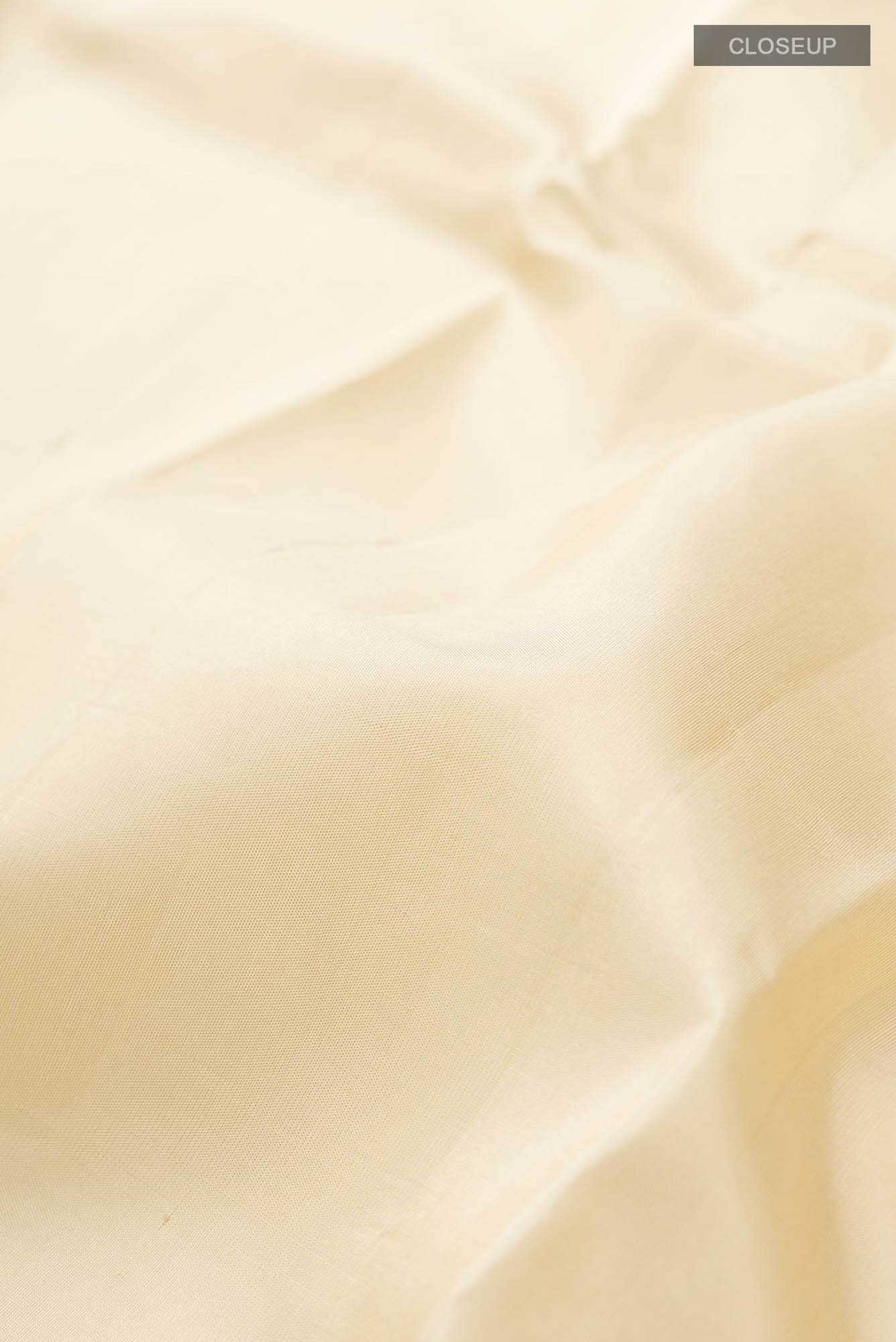 Beige Kanchipuram Silk Saree