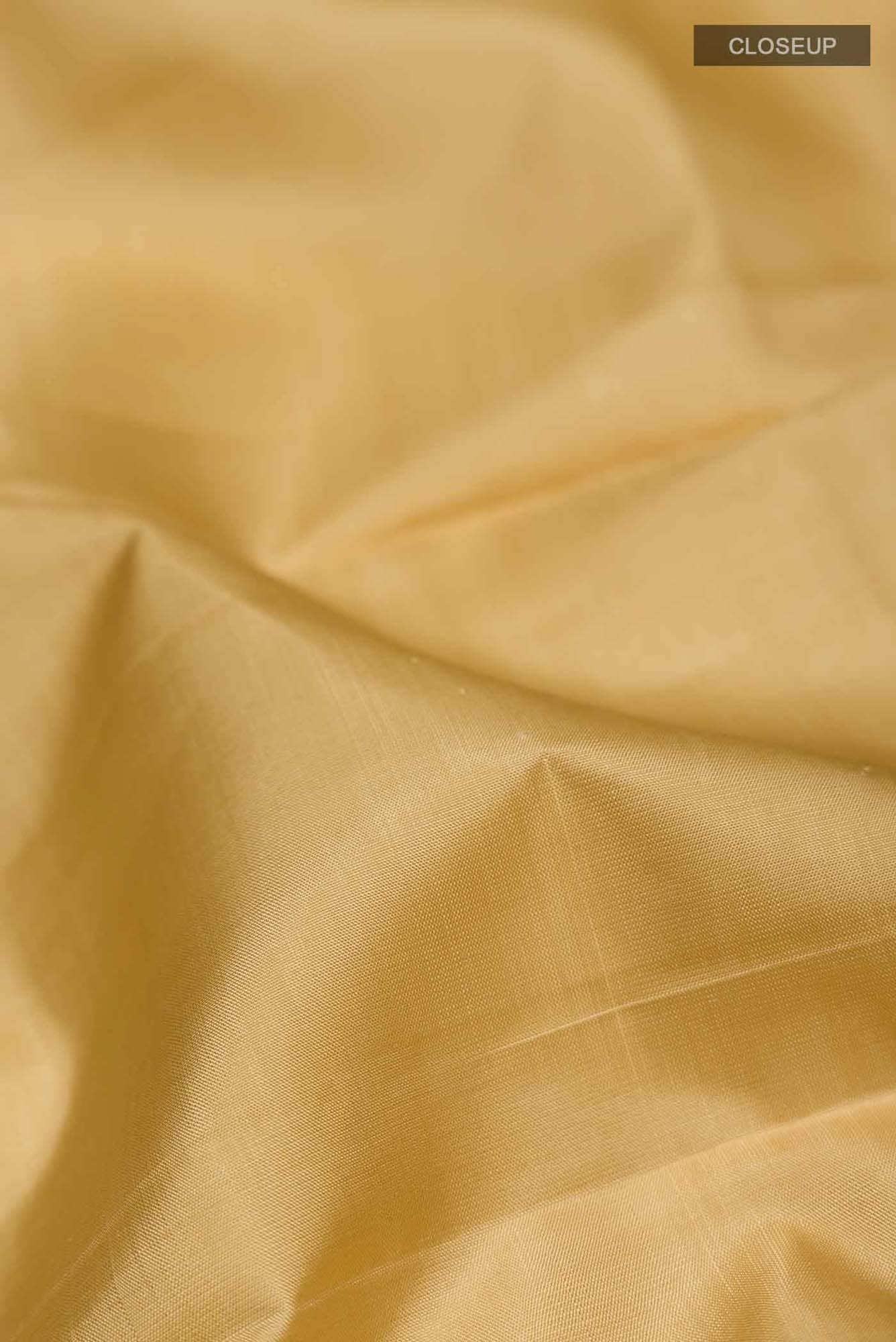 Beige Kanchipuram Silk Saree