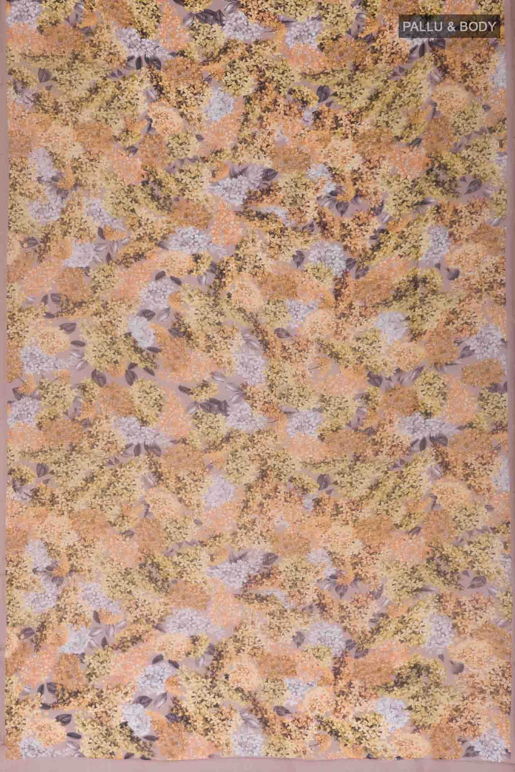 Beige Mysore Chiffon Saree
