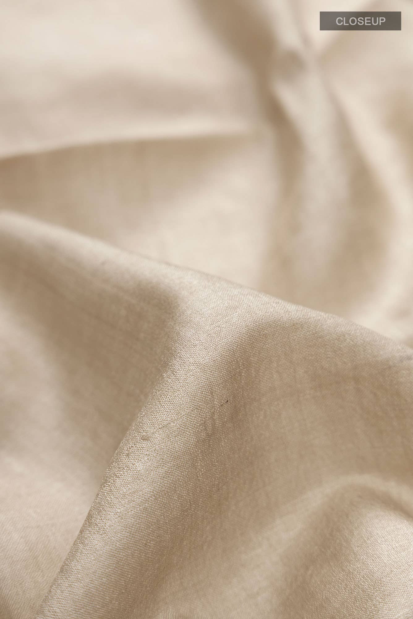 Beige Bhagalpuri Tussar Silk Saree