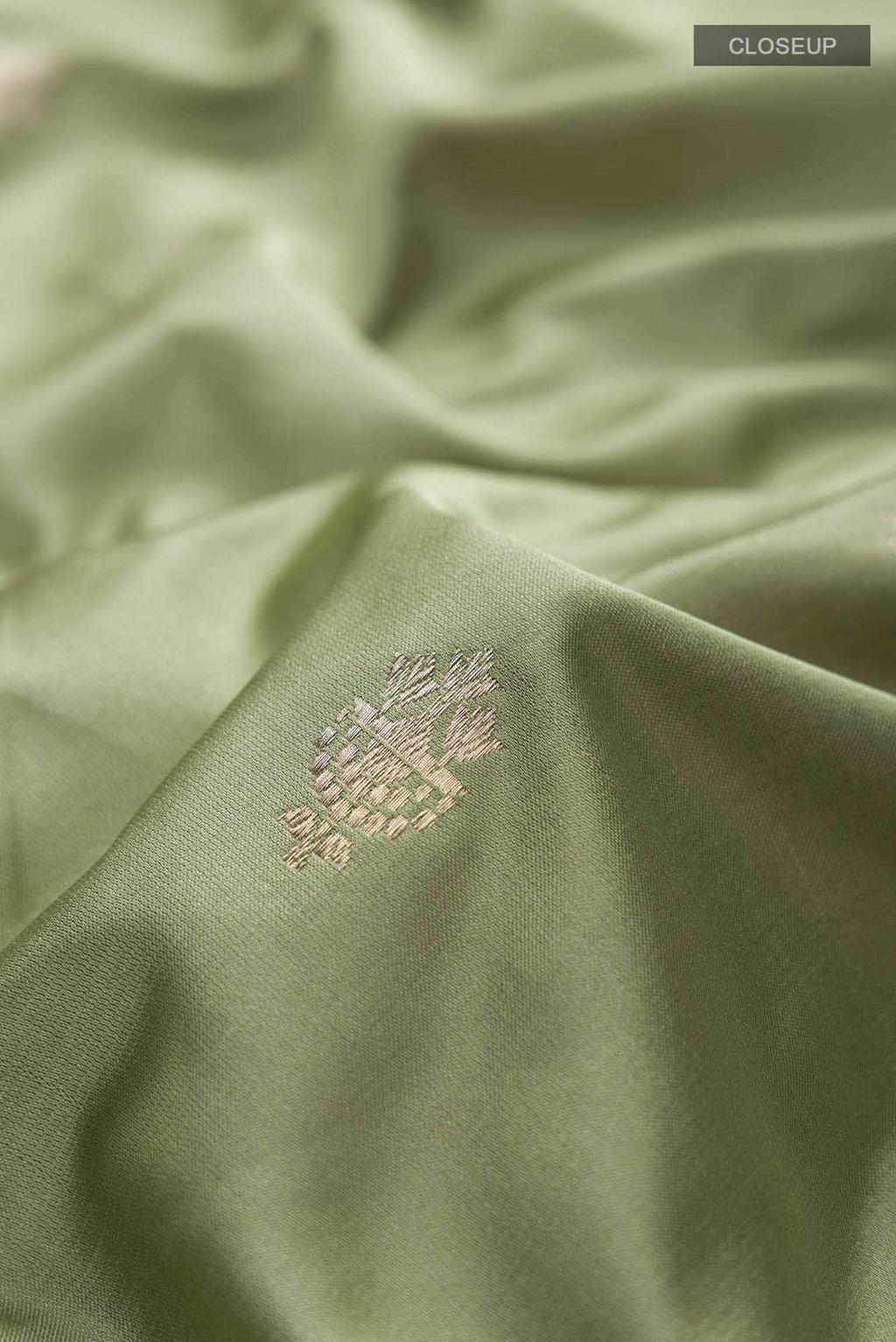 Light Green Banarasi Katan Silk Saree