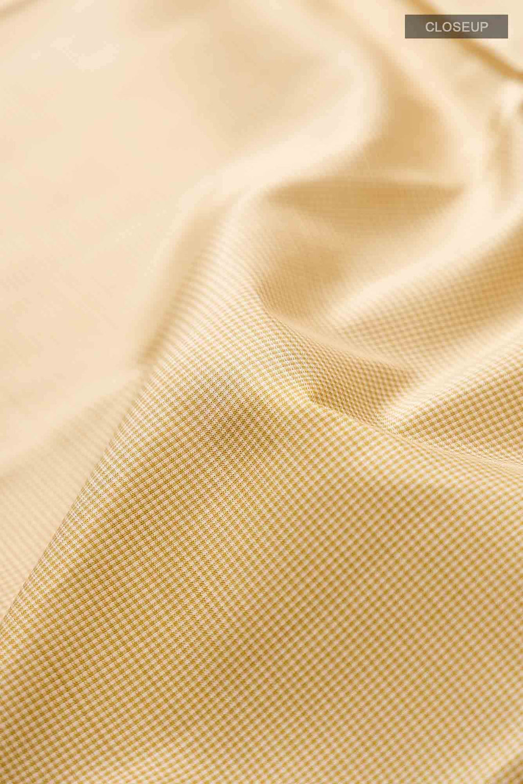 Beige Kanchipuram Silk Saree