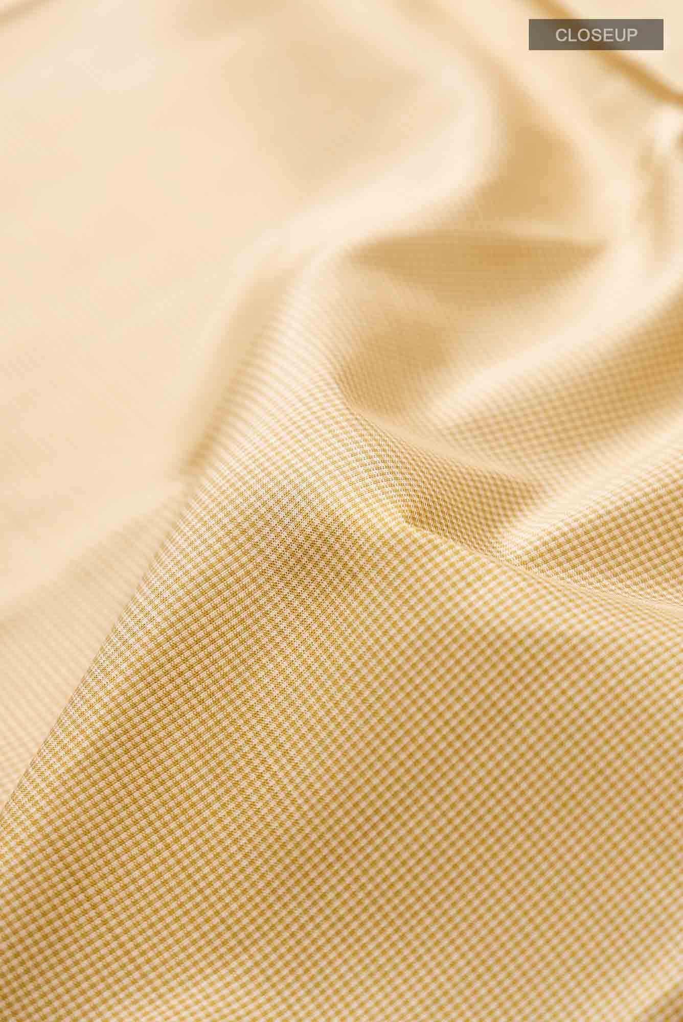 Beige Kanchipuram Silk Saree