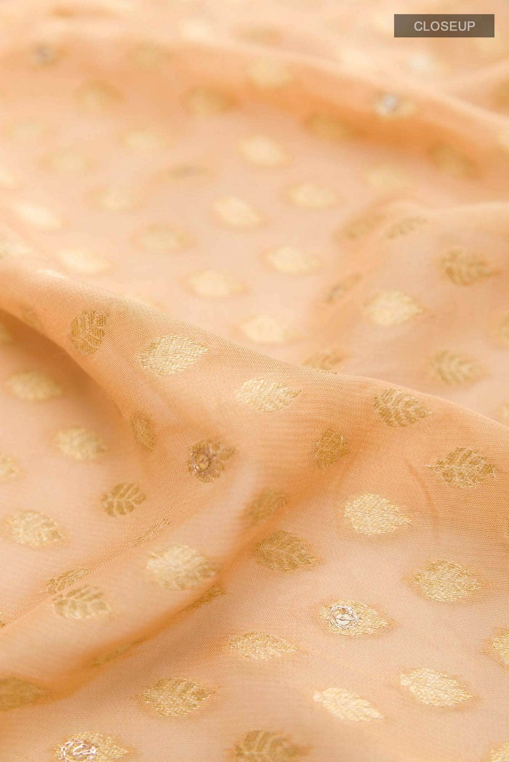 Beige Georgette Saree