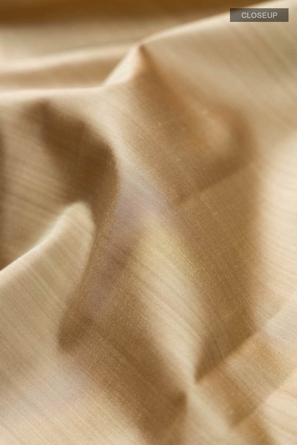 Beige Kanchipuram Silk Saree