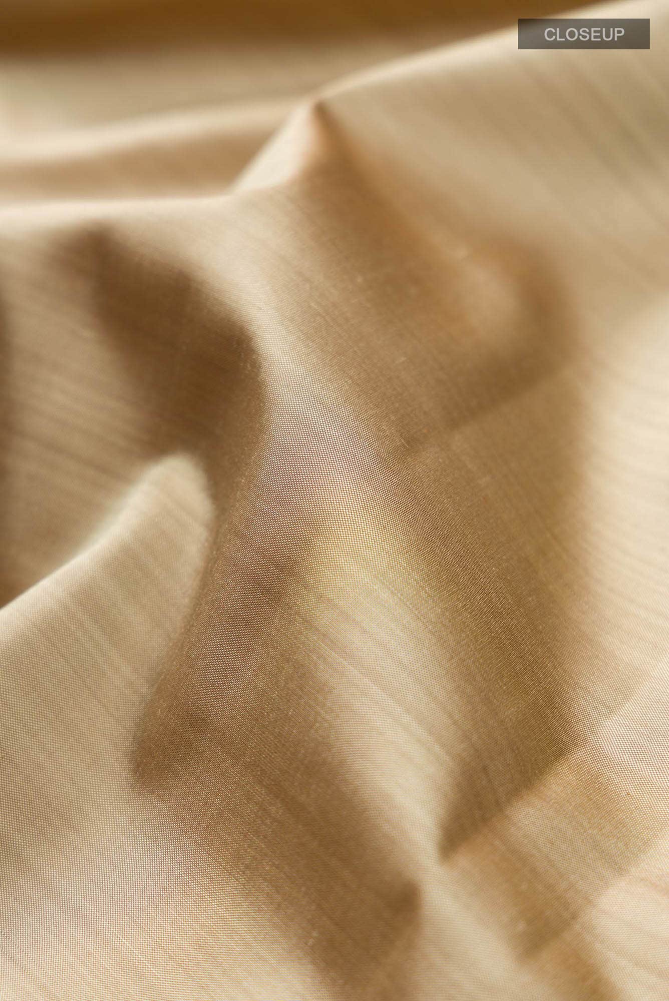 Beige Kanchipuram Silk Saree