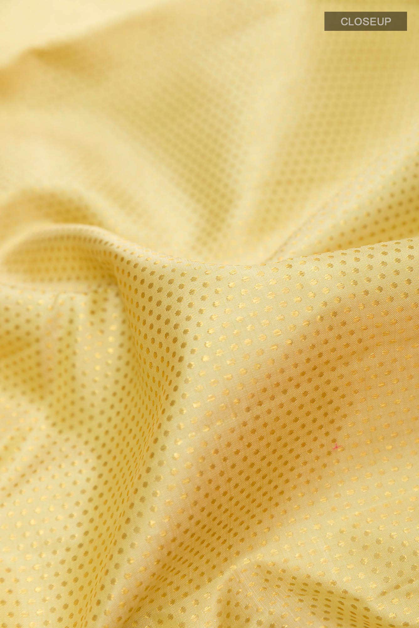 Golden Kanchipuram Silk Saree