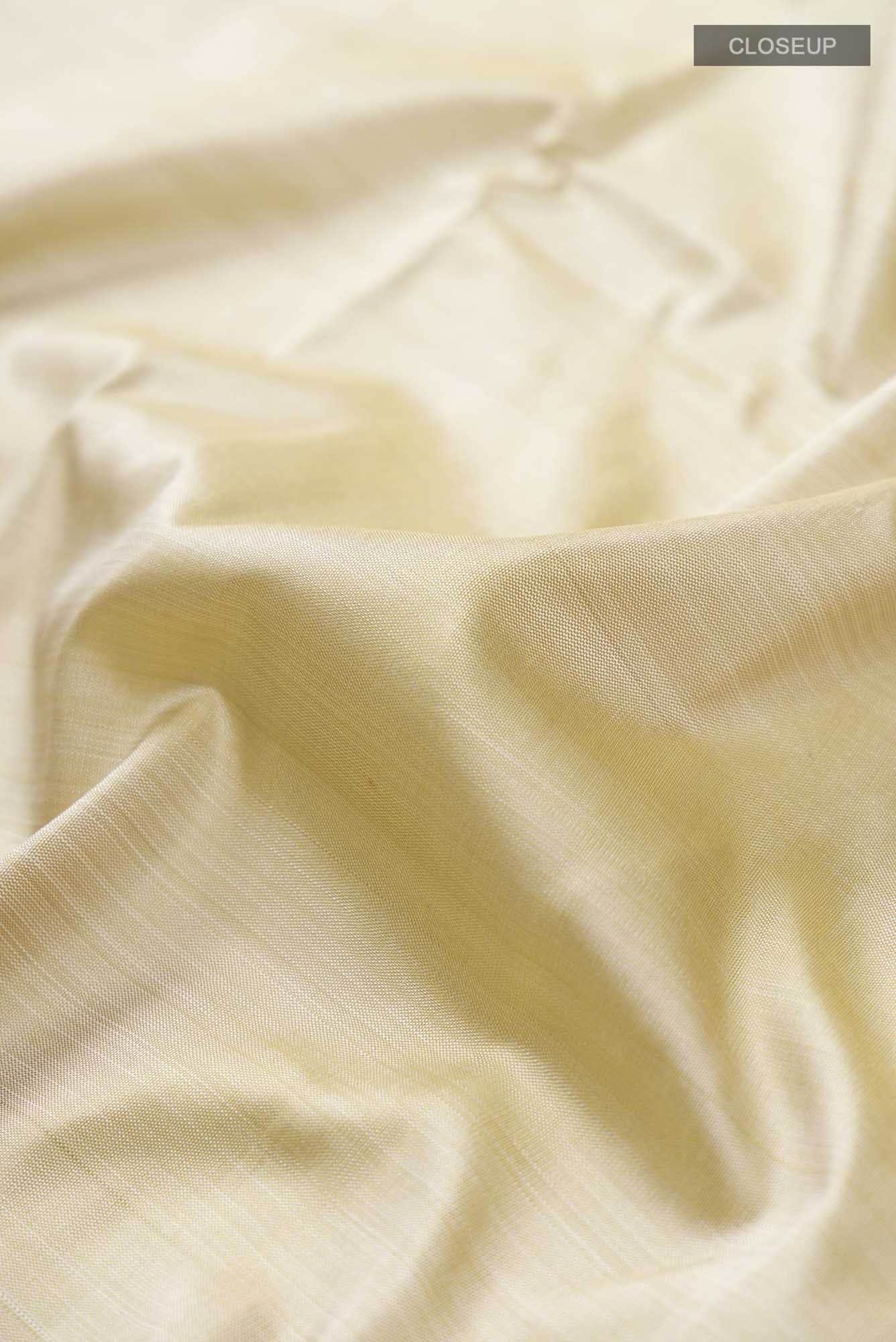 Beige Kanchipuram Silk Saree
