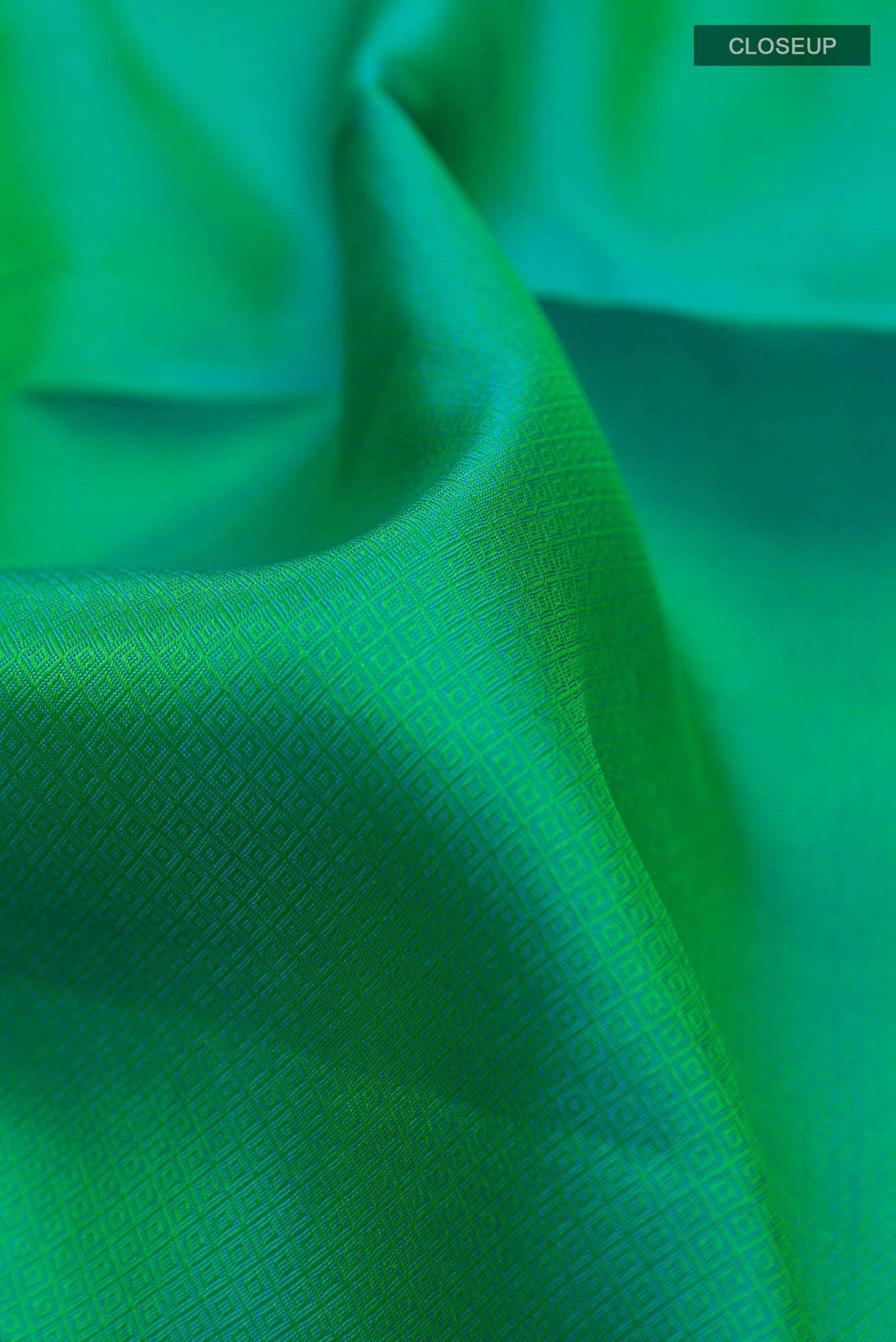 Green Dual Tone Kanchipuram Silk Saree