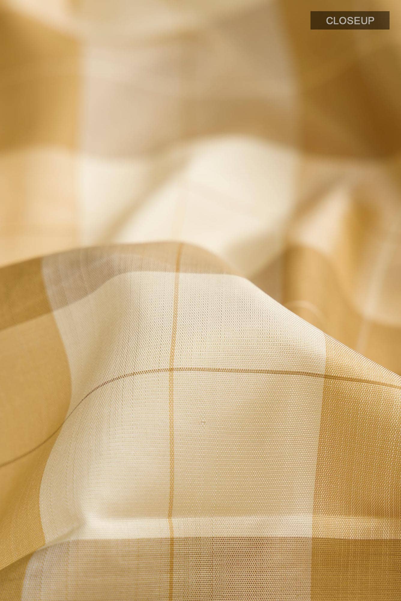 Beige Kanchipuram Silk Saree