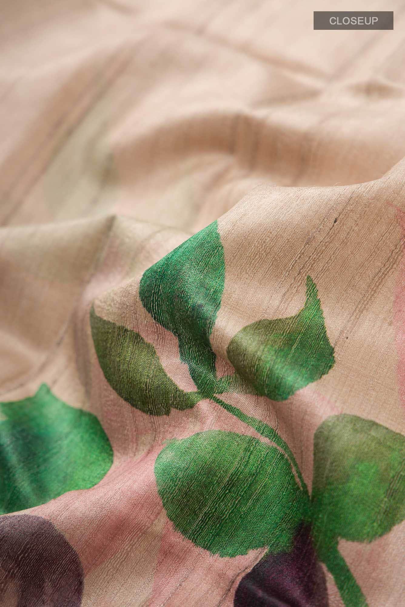 Beige Bhagalpuri Tussar Silk Saree