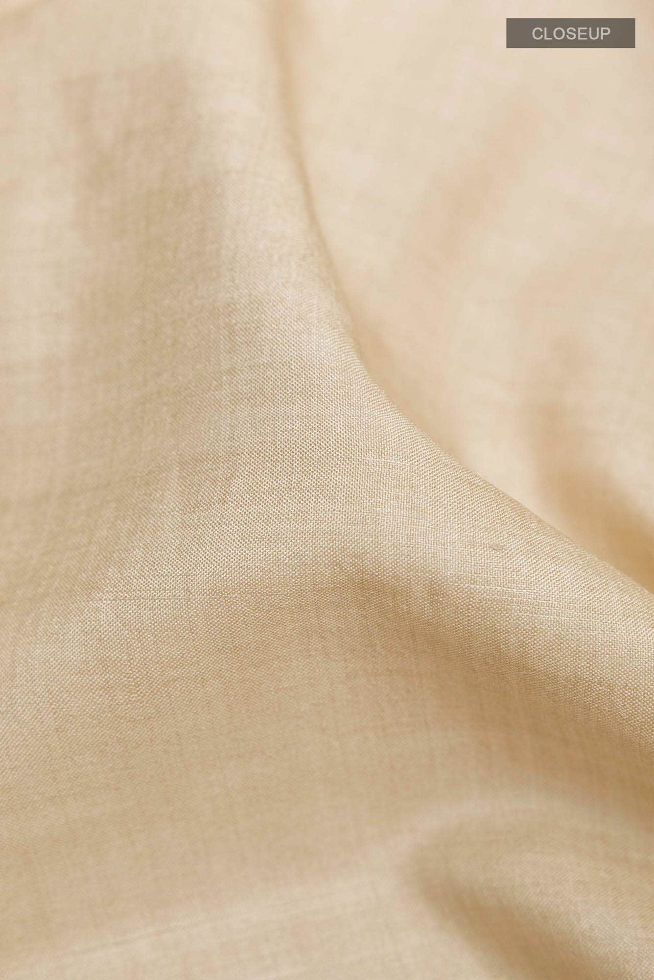 Beige Tussar Saree