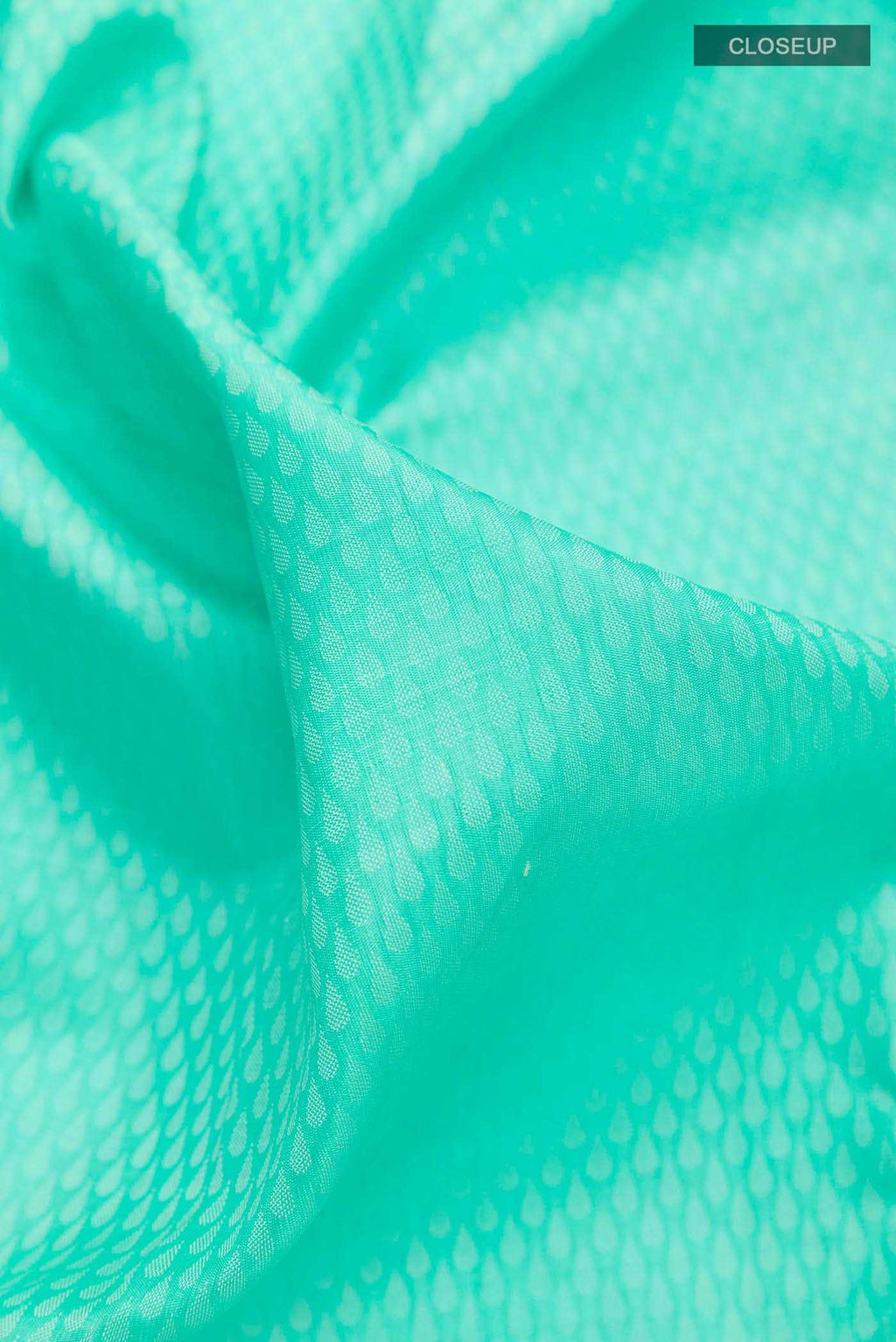 Sea Green Kanchipuram Silk Saree