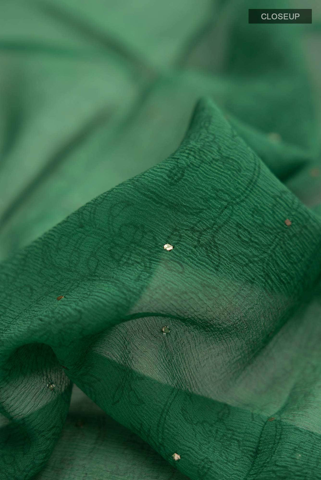 Green Mysore Chiffon Saree