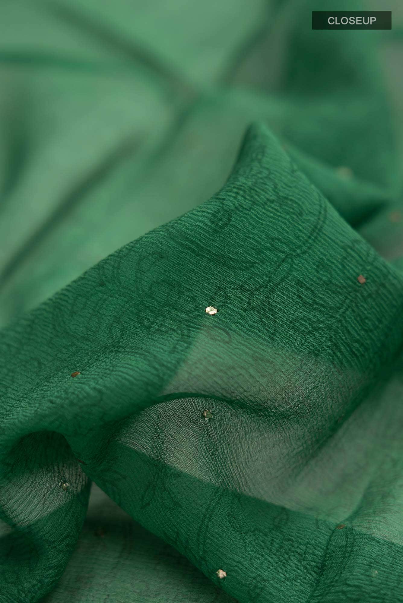 Green Mysore Chiffon Saree