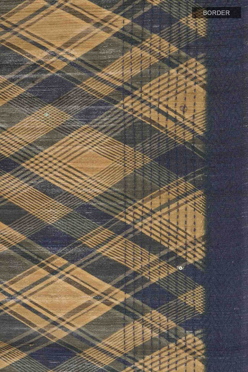Multi Bhagalpuri Tussar Silk Saree
