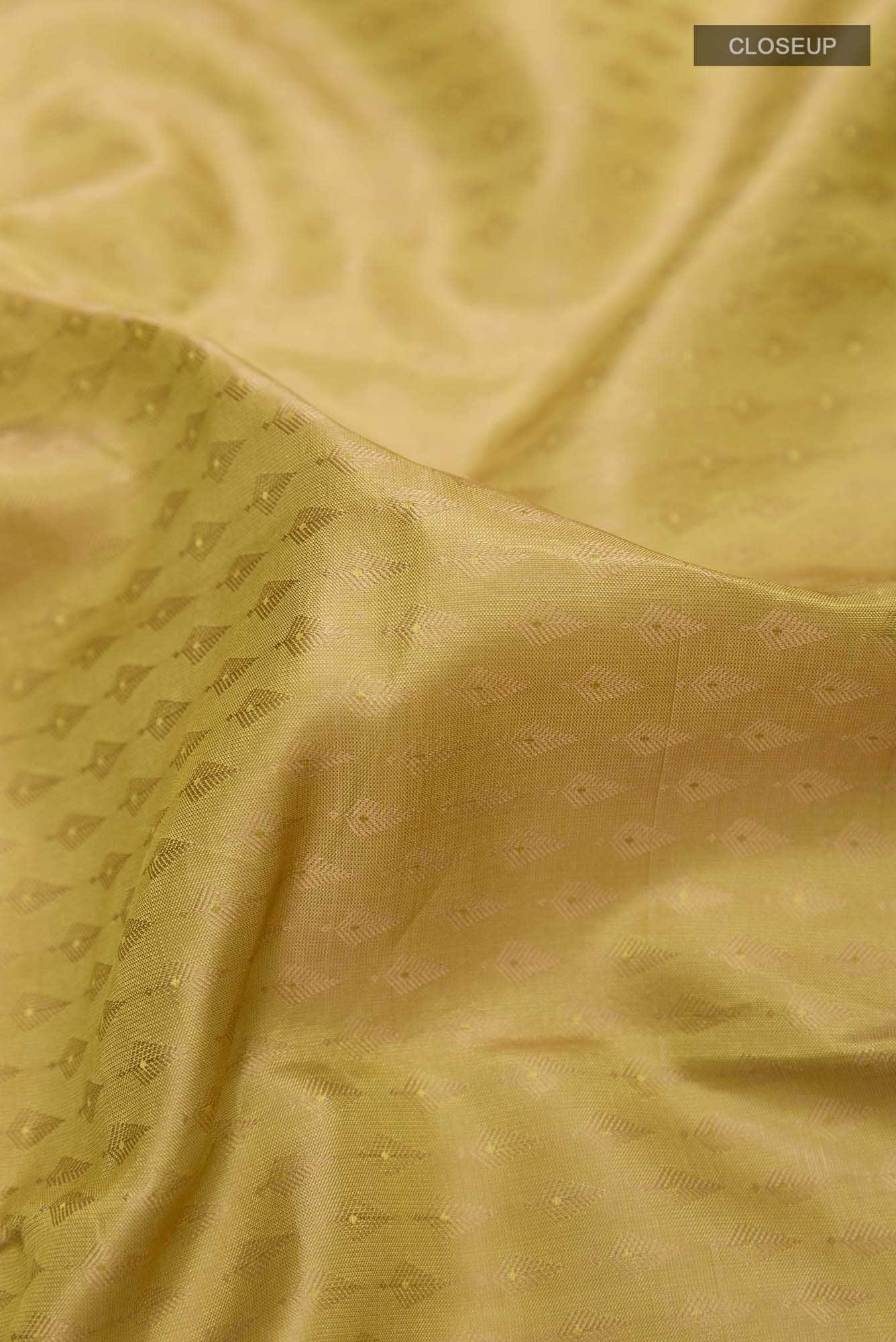 Dark Beige Kanchipuram Silk Saree