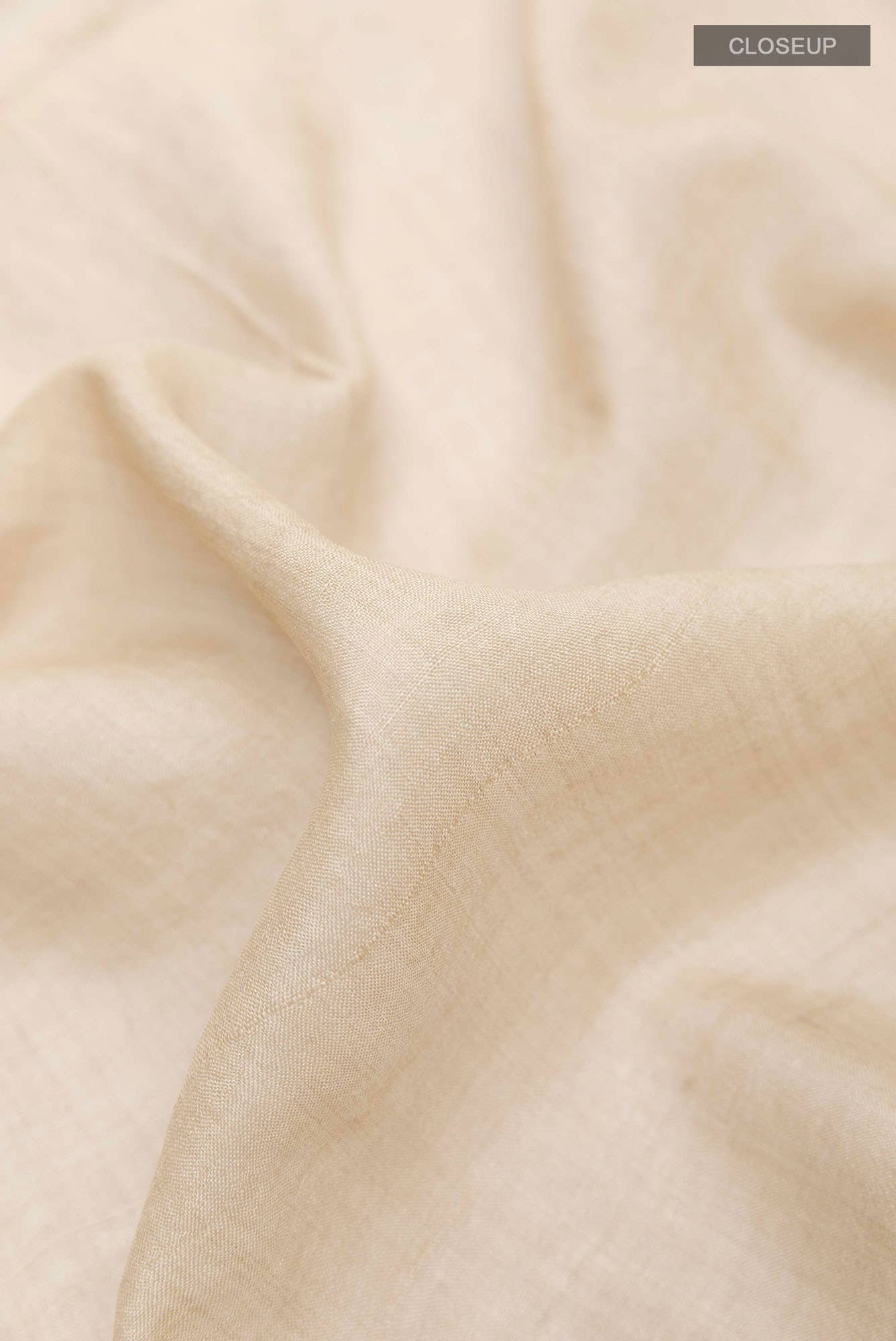 Beige Tussar Saree