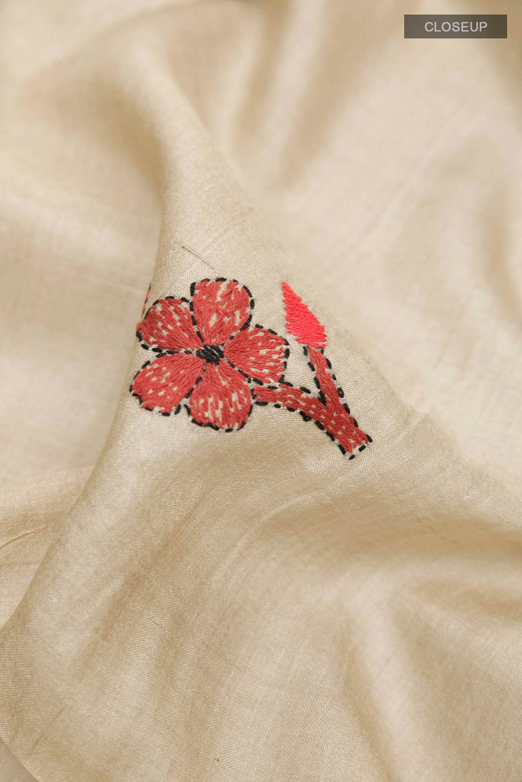 Beige Tussar Saree