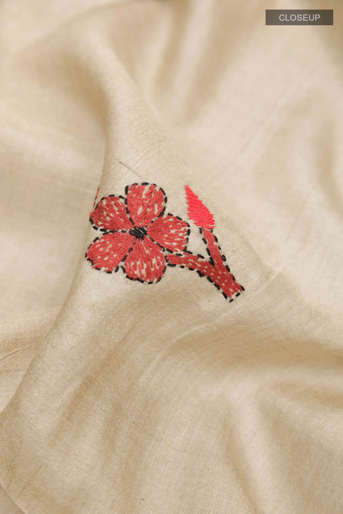 Beige Tussar Saree