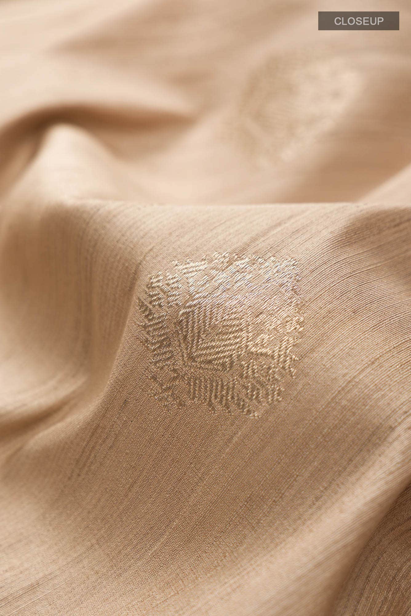 Beige Banarasi Tussar Silk Saree