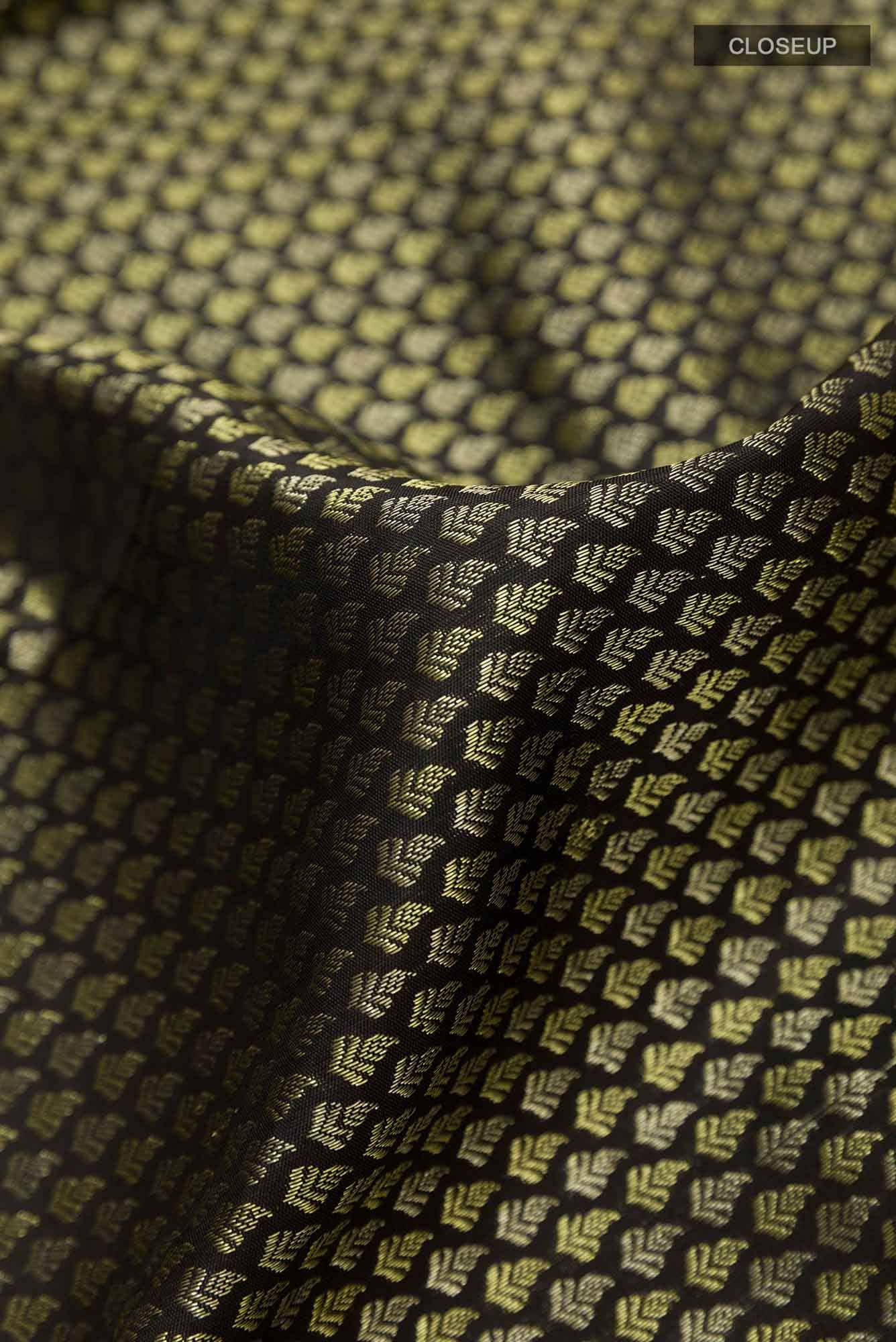 Black Kanchipuram Silk Saree