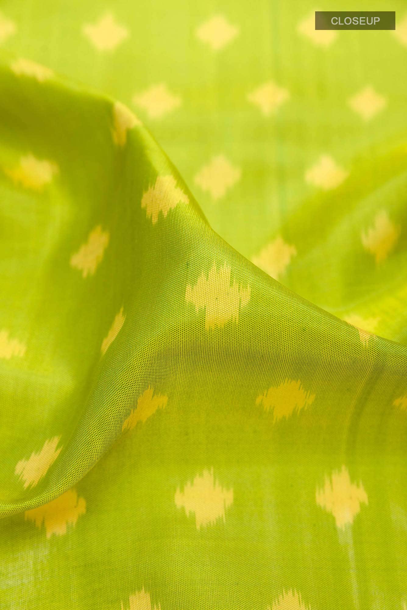 Parrot Green Rajkot Patola Silk Saree