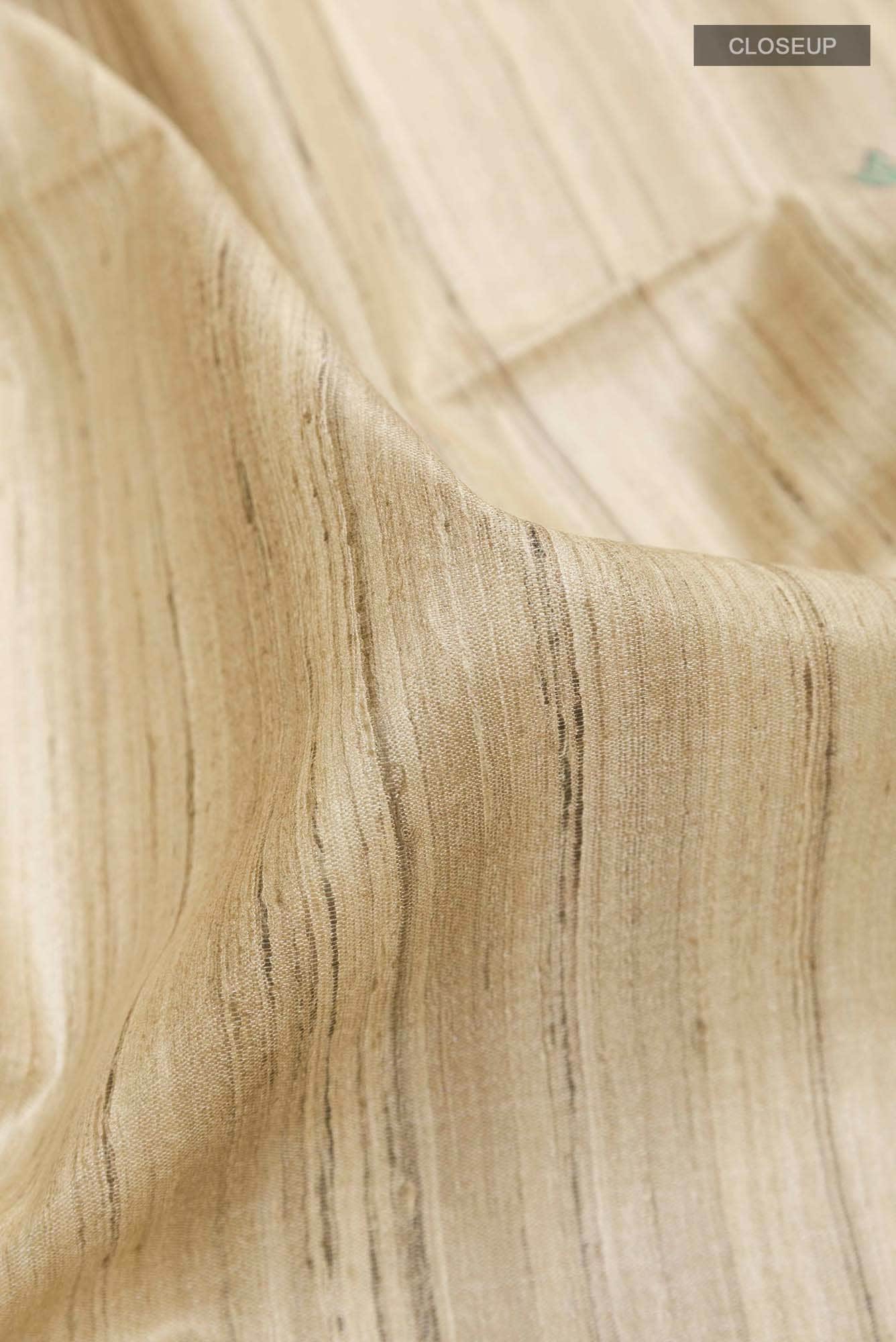 Beige Tussar Saree