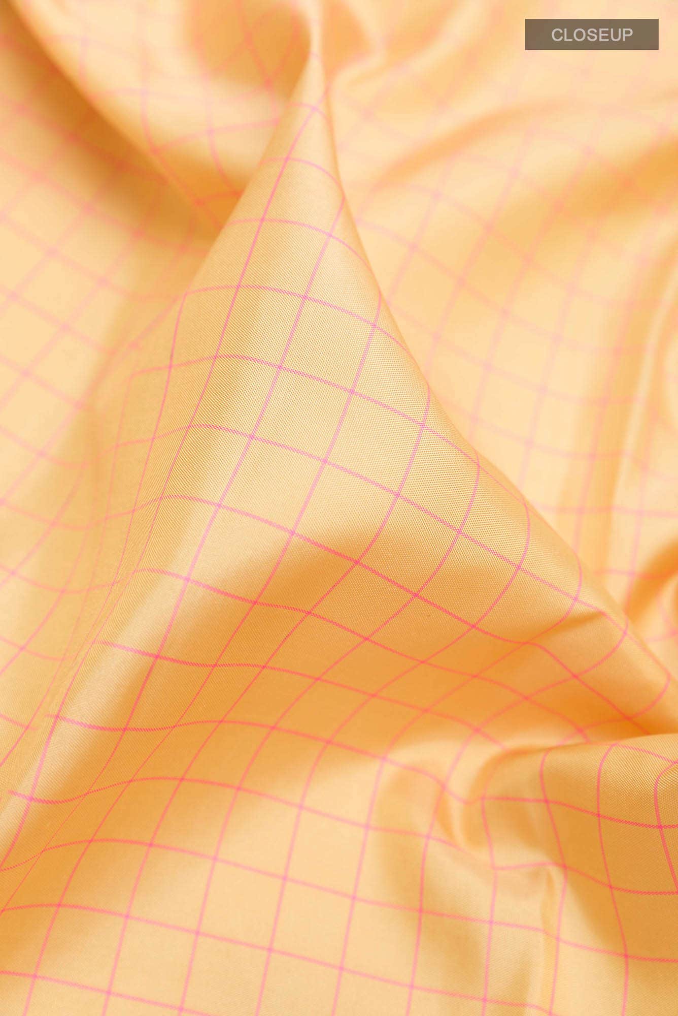 Beige Kanchipuram Silk Saree