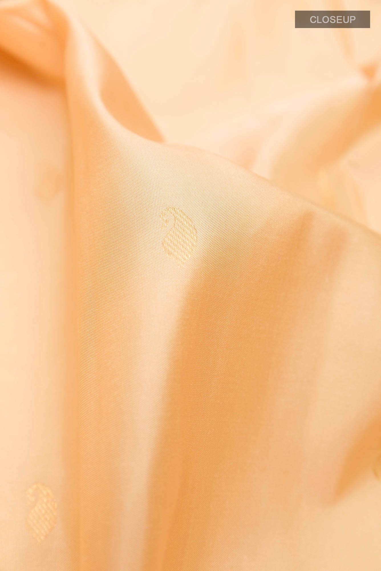 Beige Kanchipuram Silk Saree
