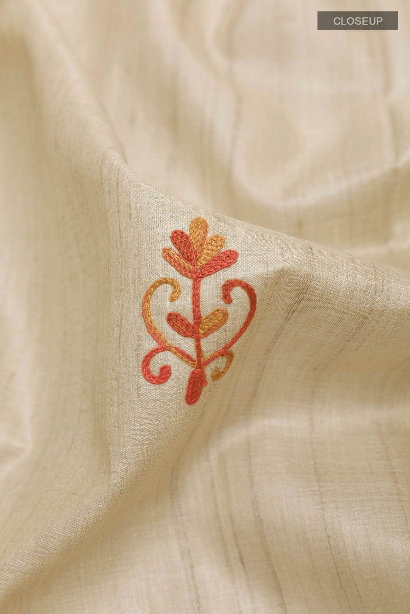 Beige Tussar Saree